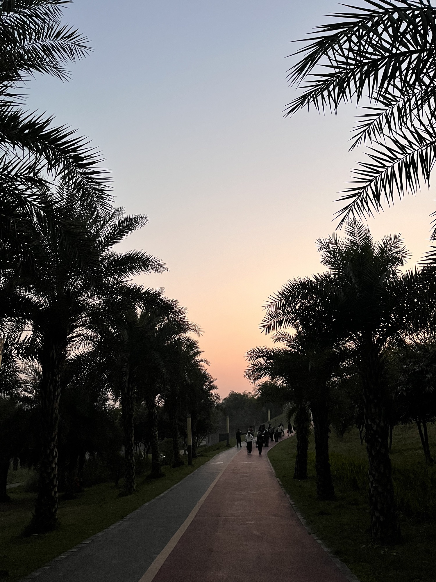 竹溪河湿地公园旅行图片 3
