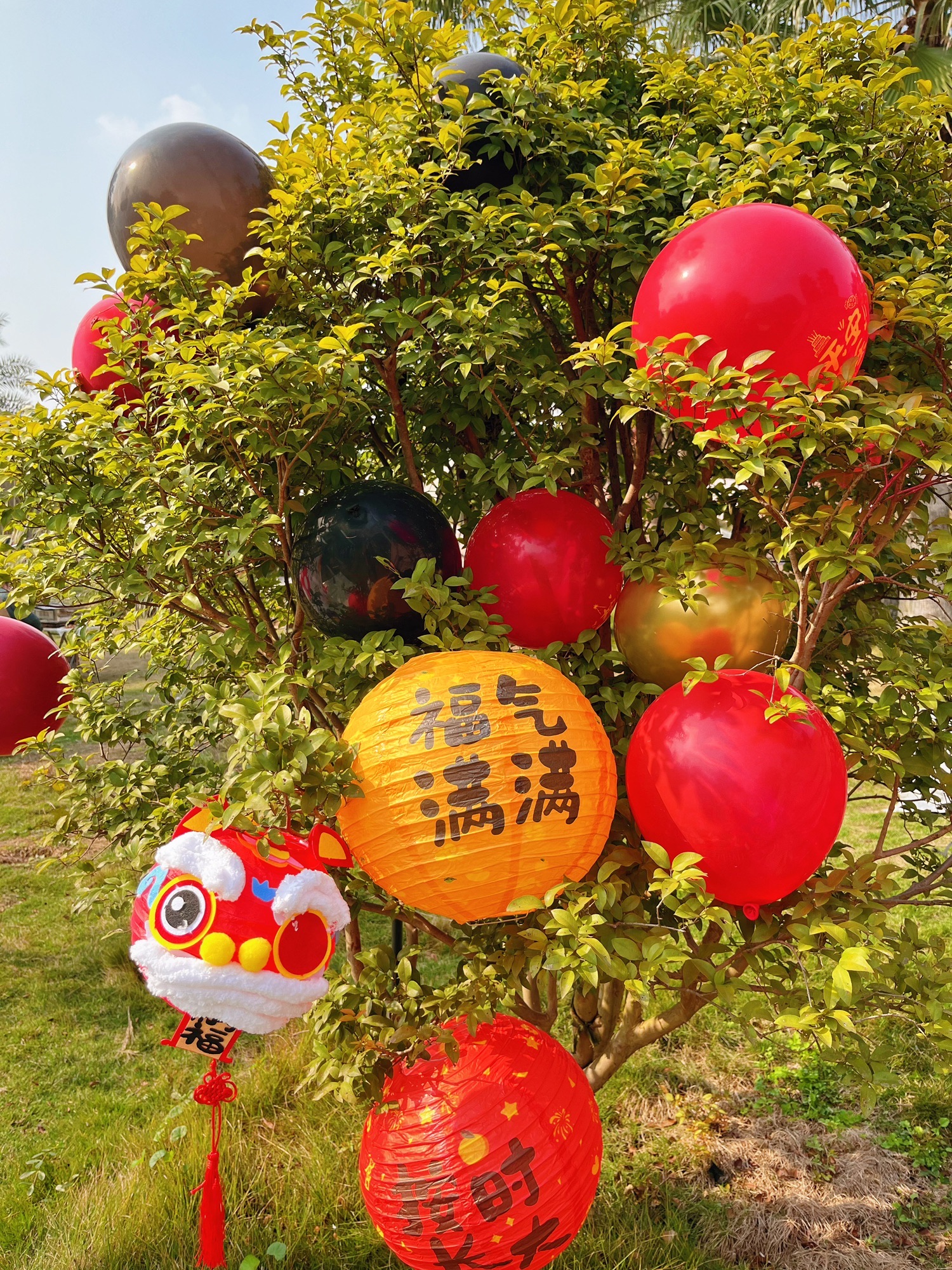 竹溪河湿地公园旅行图片 2