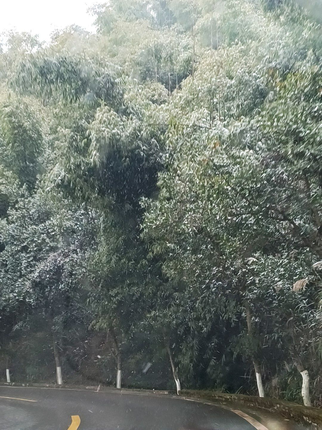 竹溪河湿地公园旅行图片 2