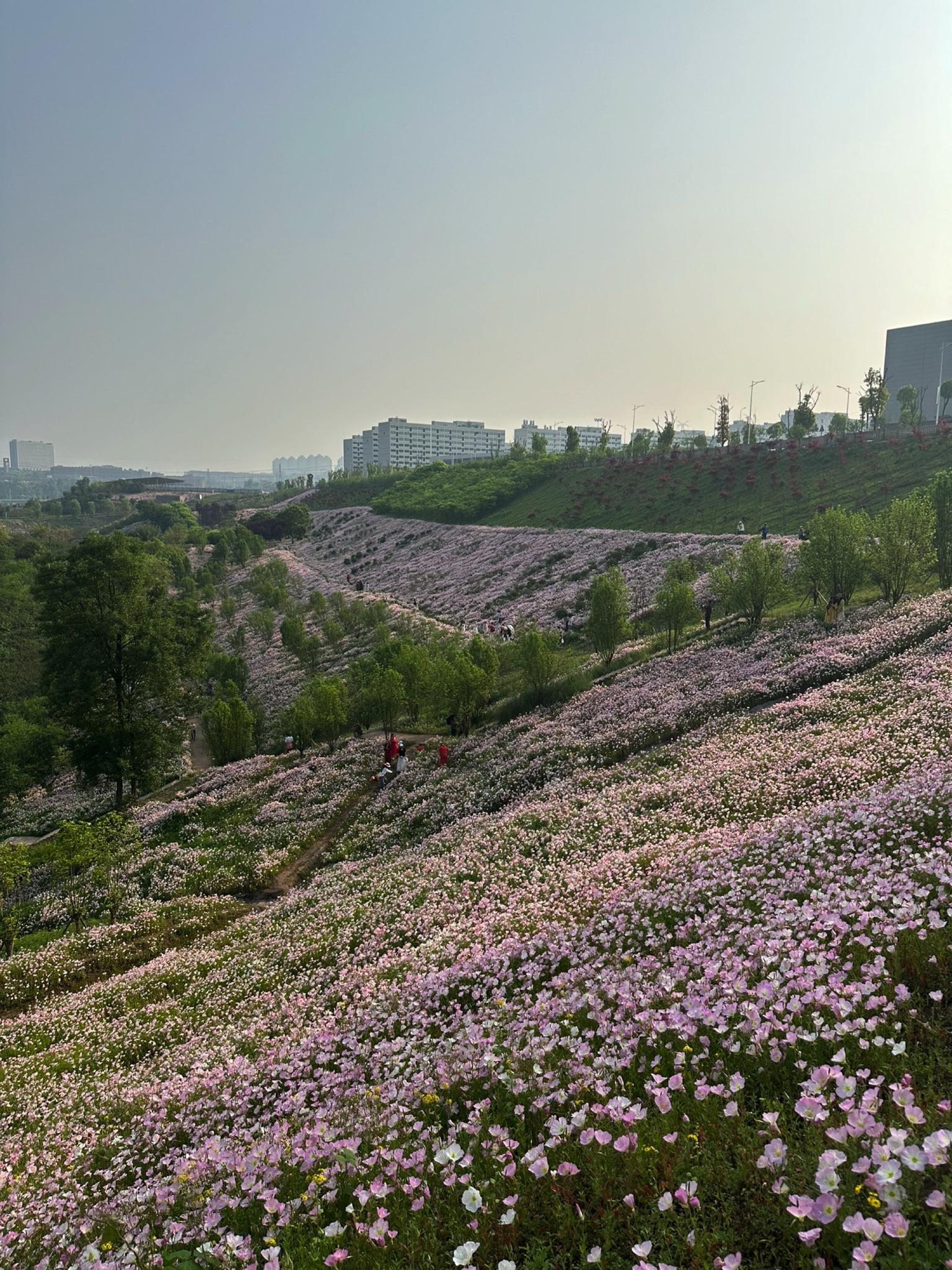 竹溪河湿地公园旅行图片 1