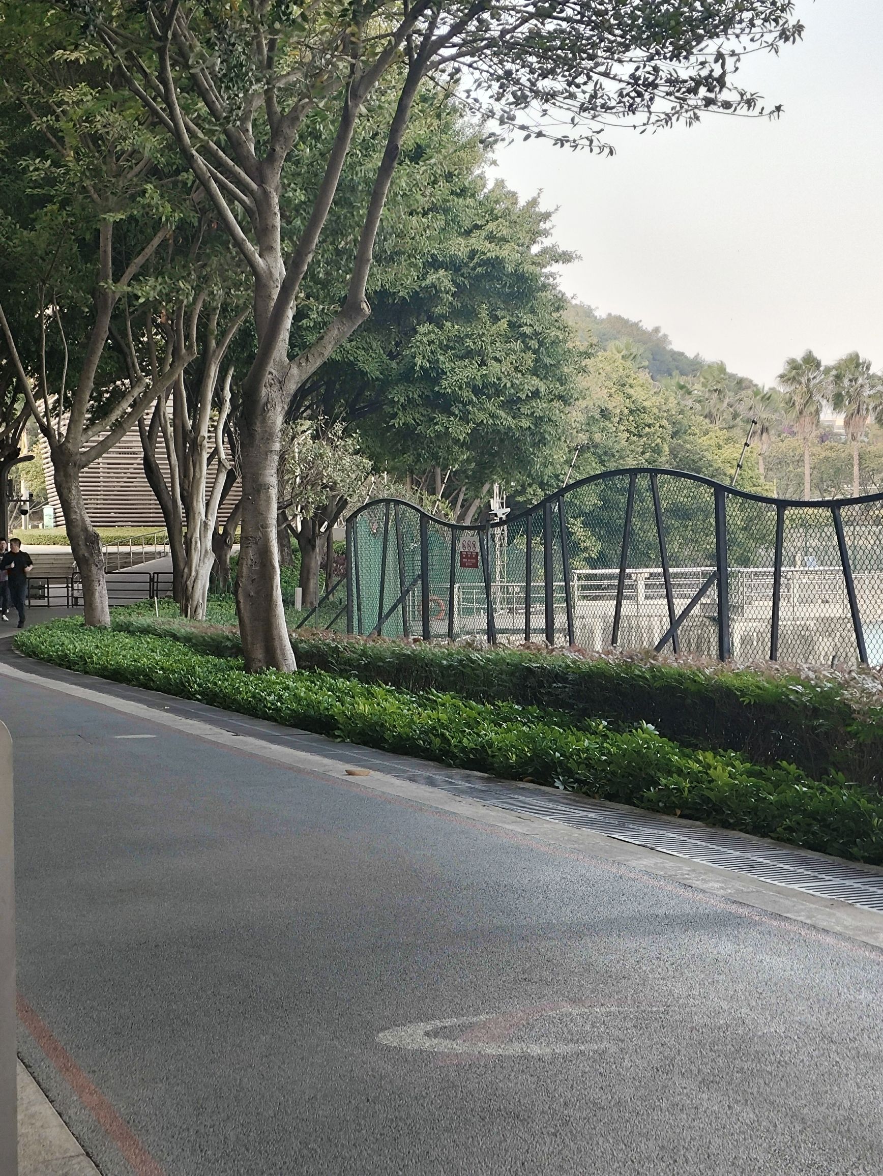 健康步道观湖台旅行图片 1