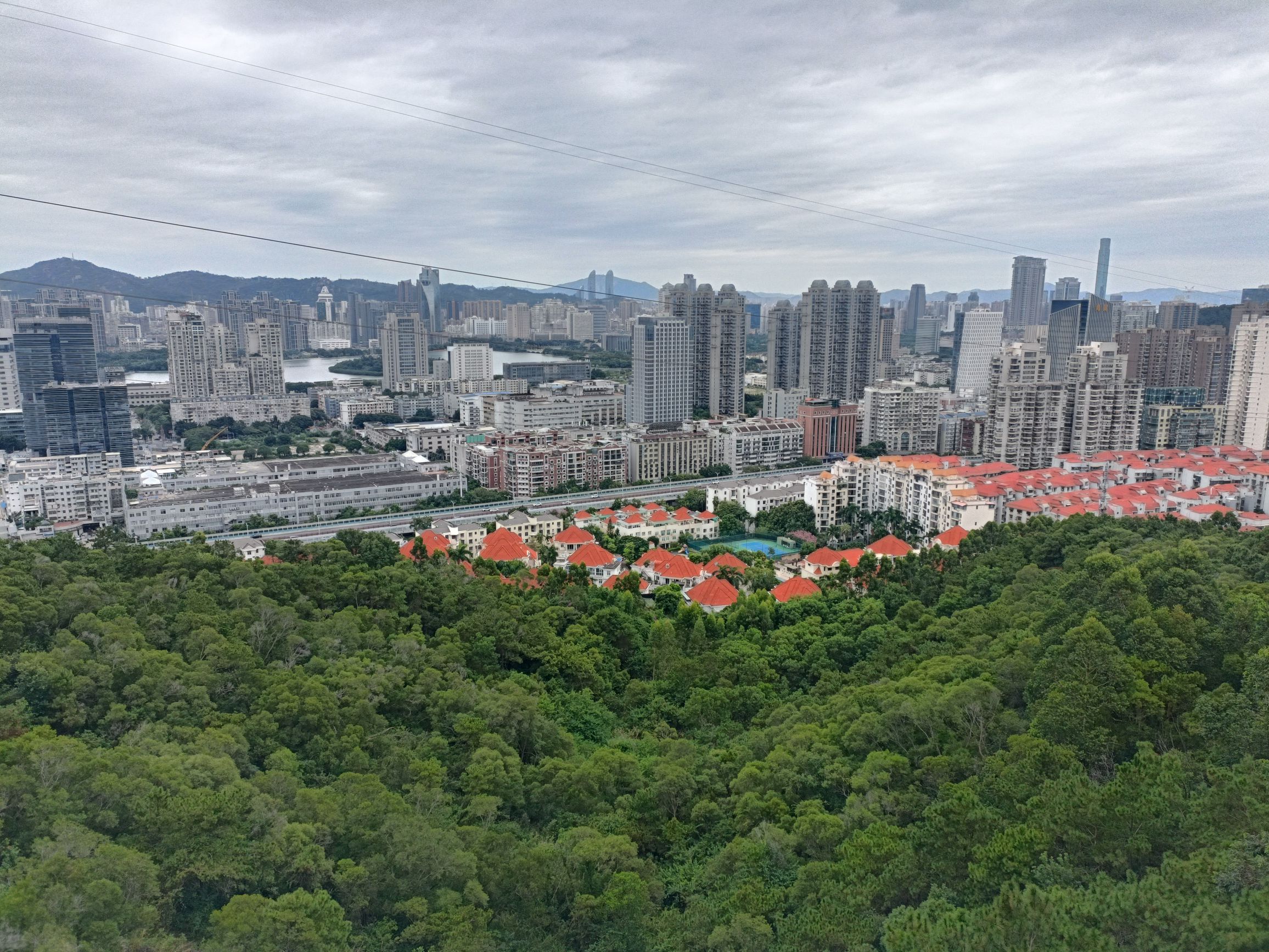 健康步道观湖台旅行图片 2