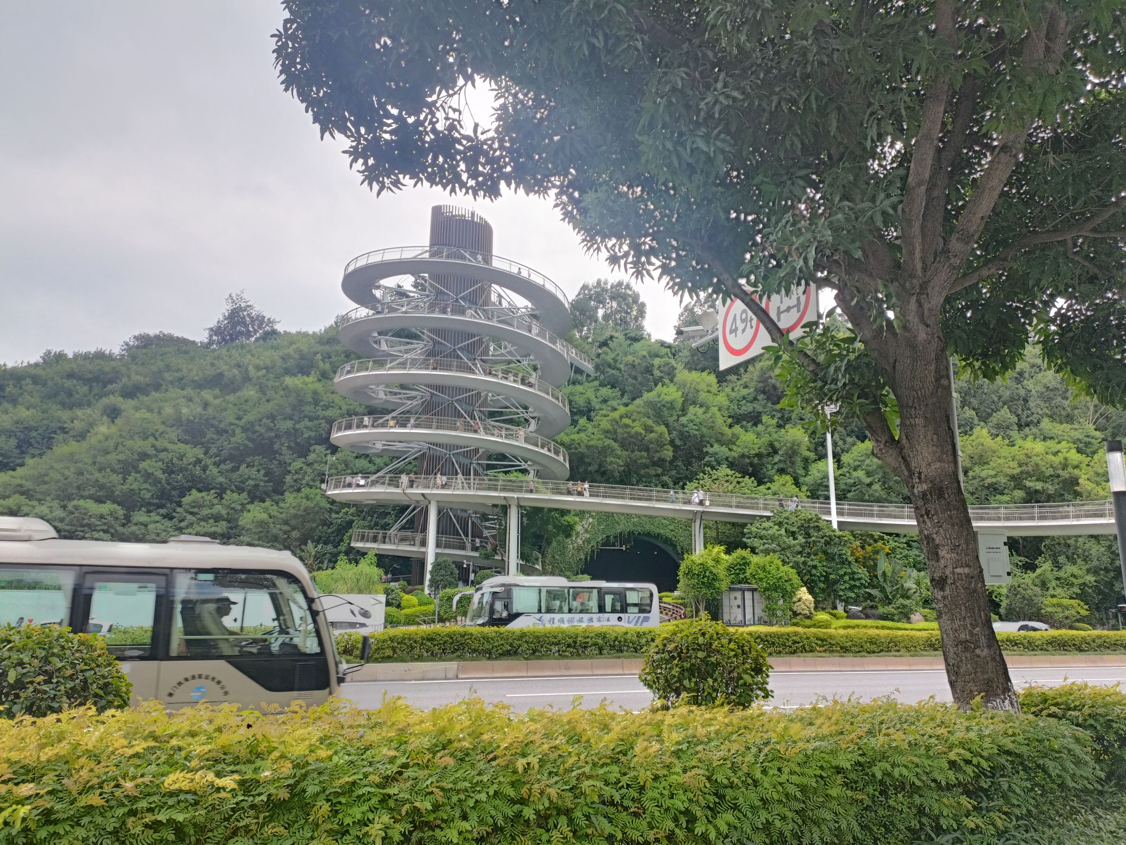 健康步道观湖台旅行图片 1