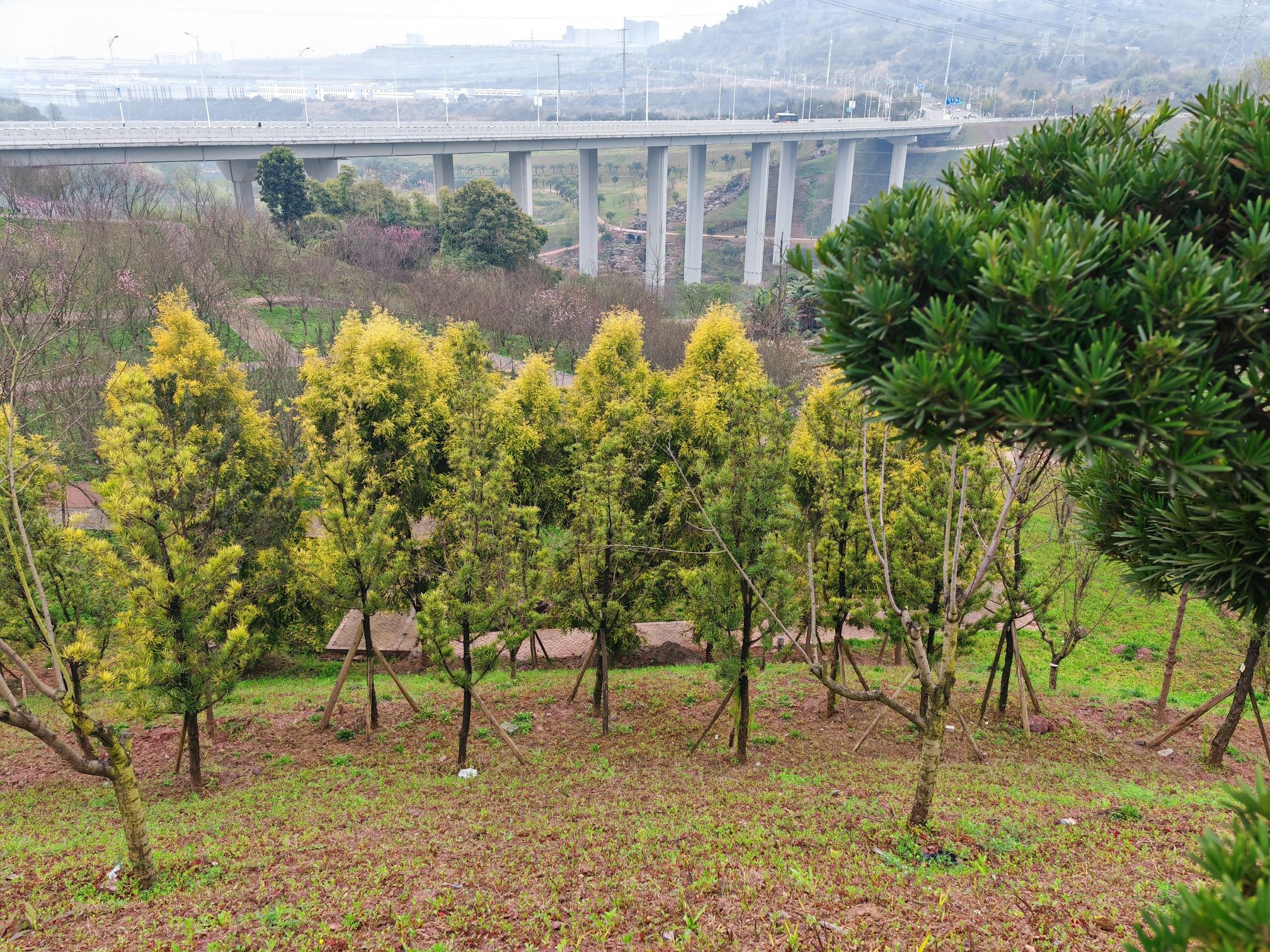 竹溪河松石文化园旅行图片 2