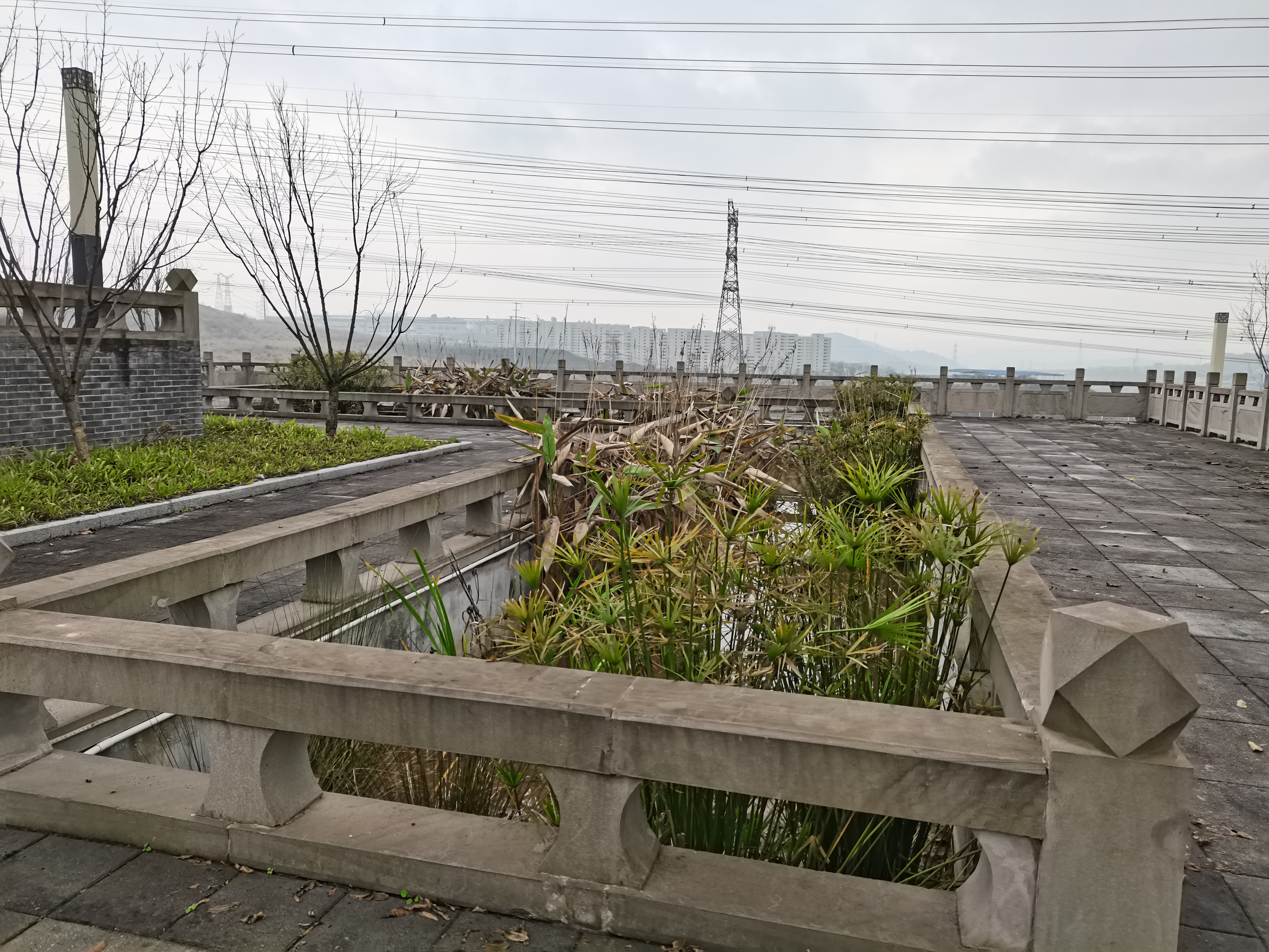竹溪河松石文化园旅行图片 2