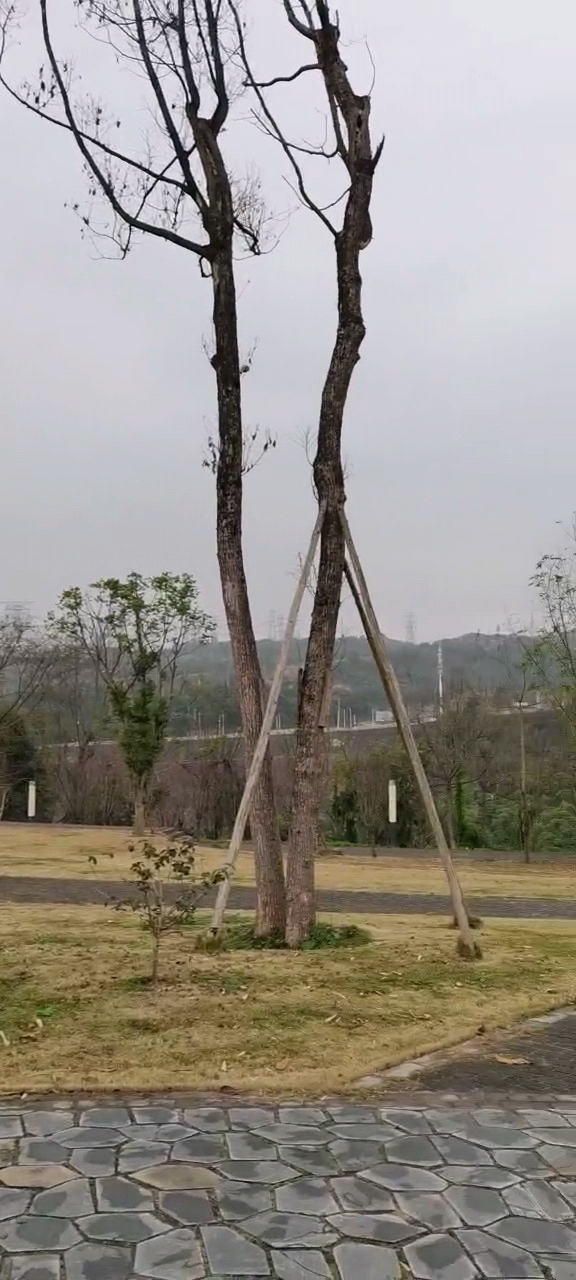 竹溪河松石文化园旅行图片 3