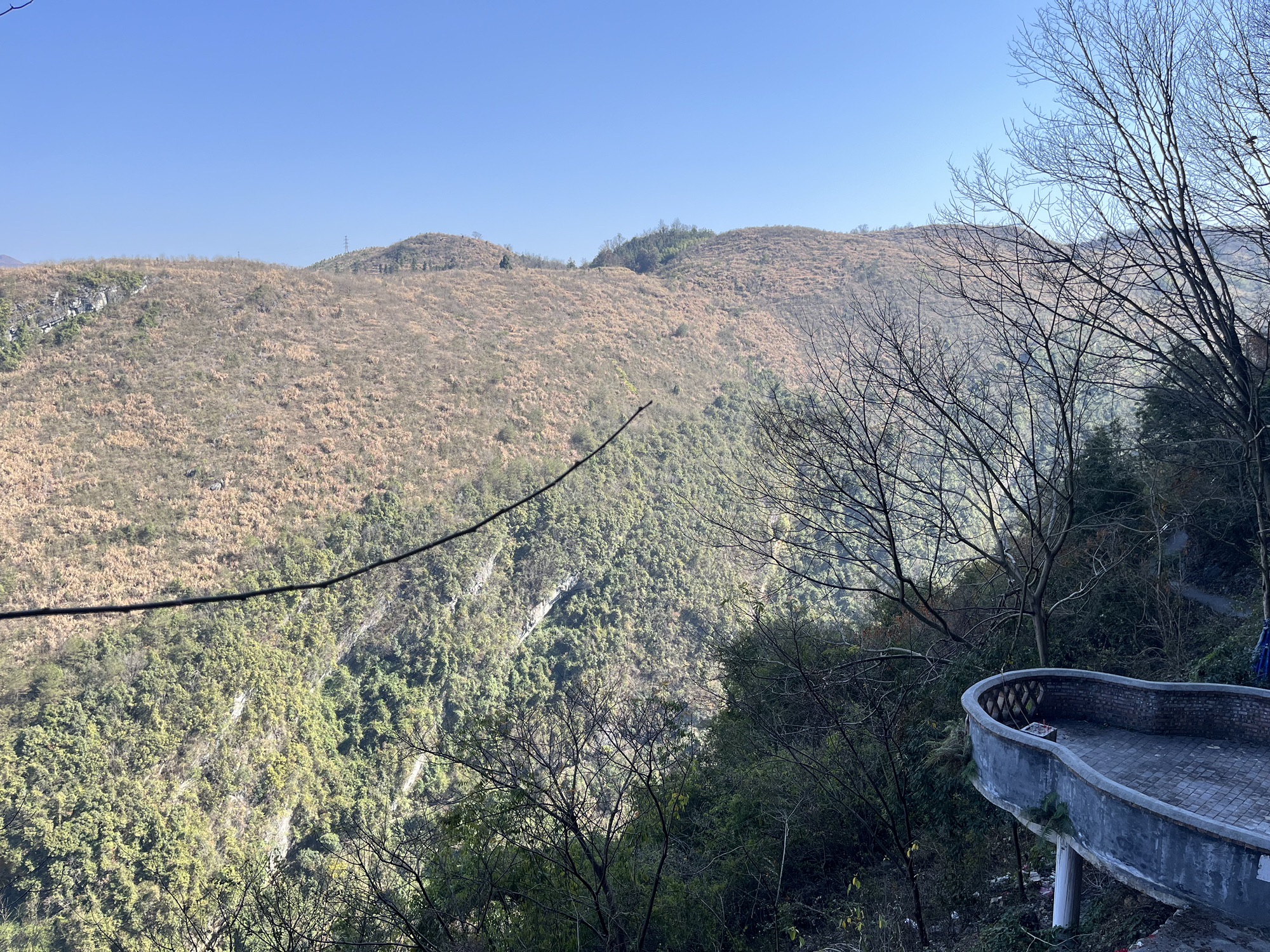 大竹山森林公园旅行图片 1