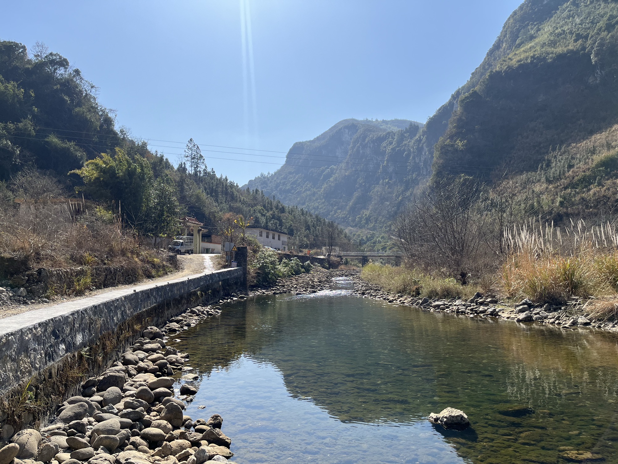 大竹山森林公园旅行图片 2