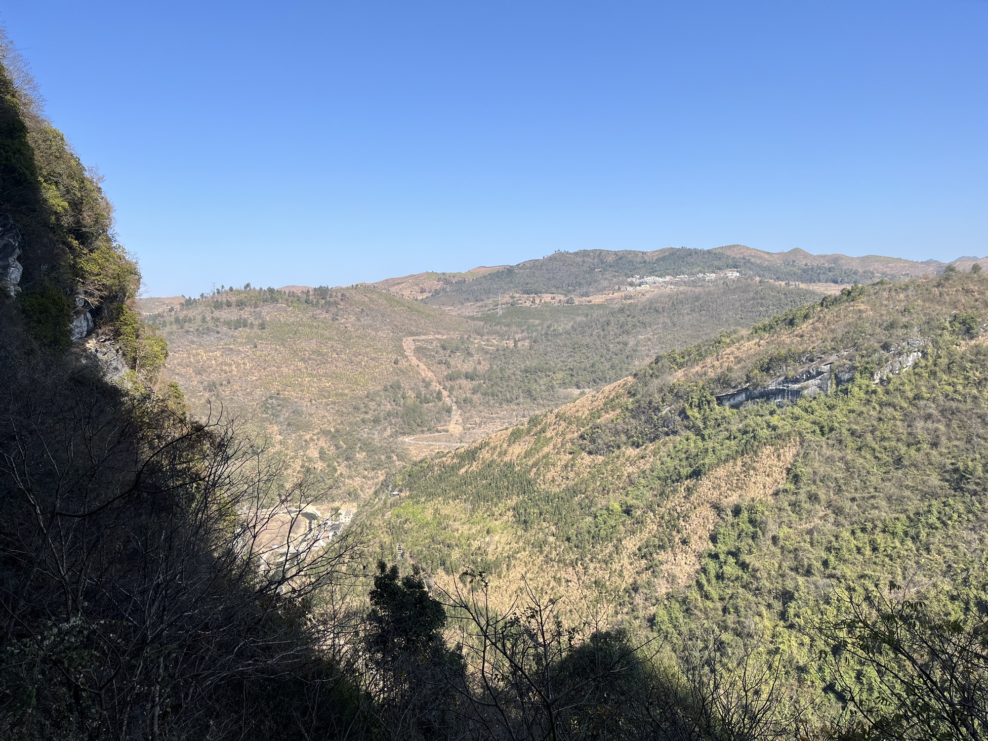 大竹山森林公园旅行图片 3