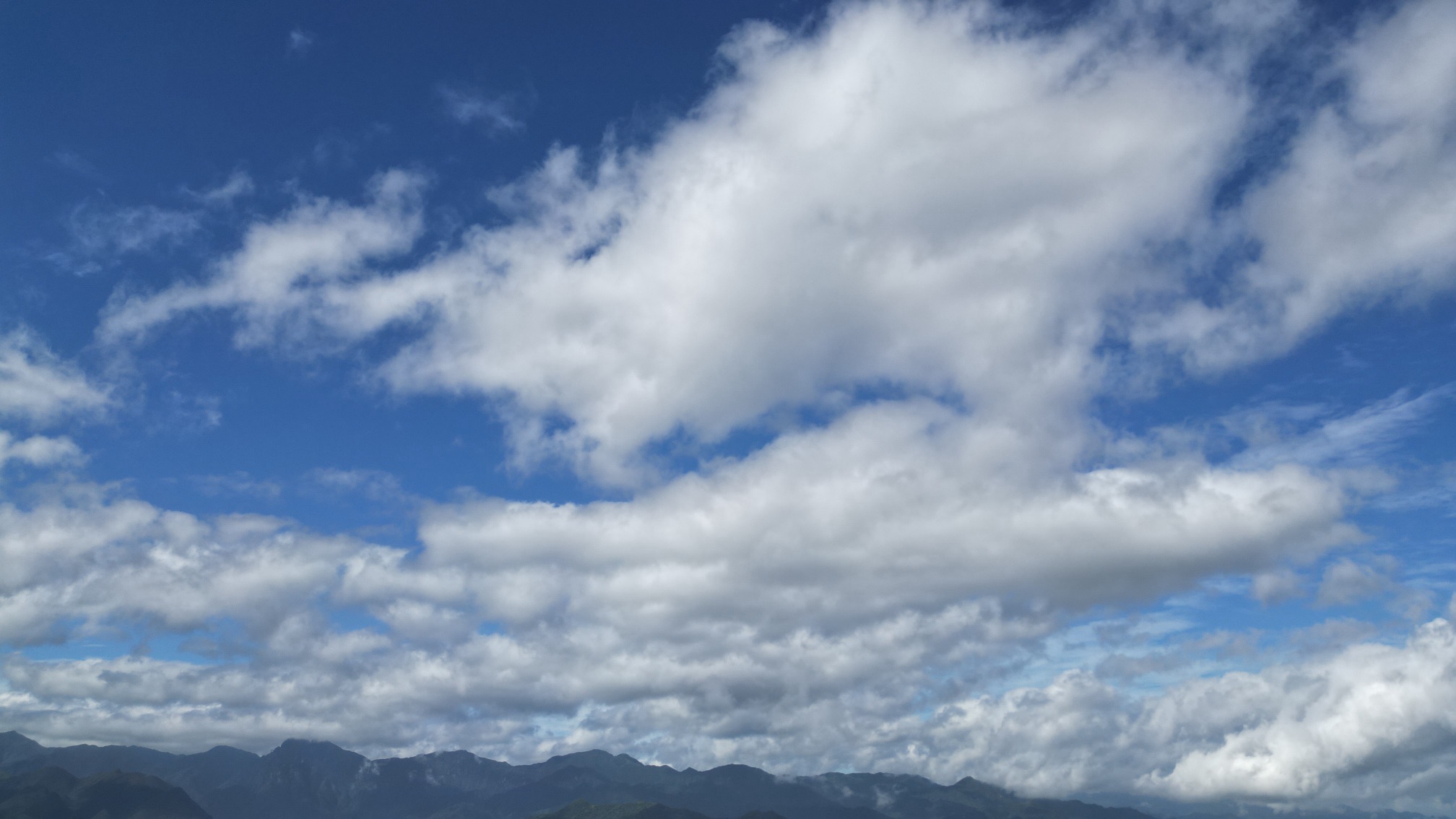 大竹山森林公园旅行图片 3