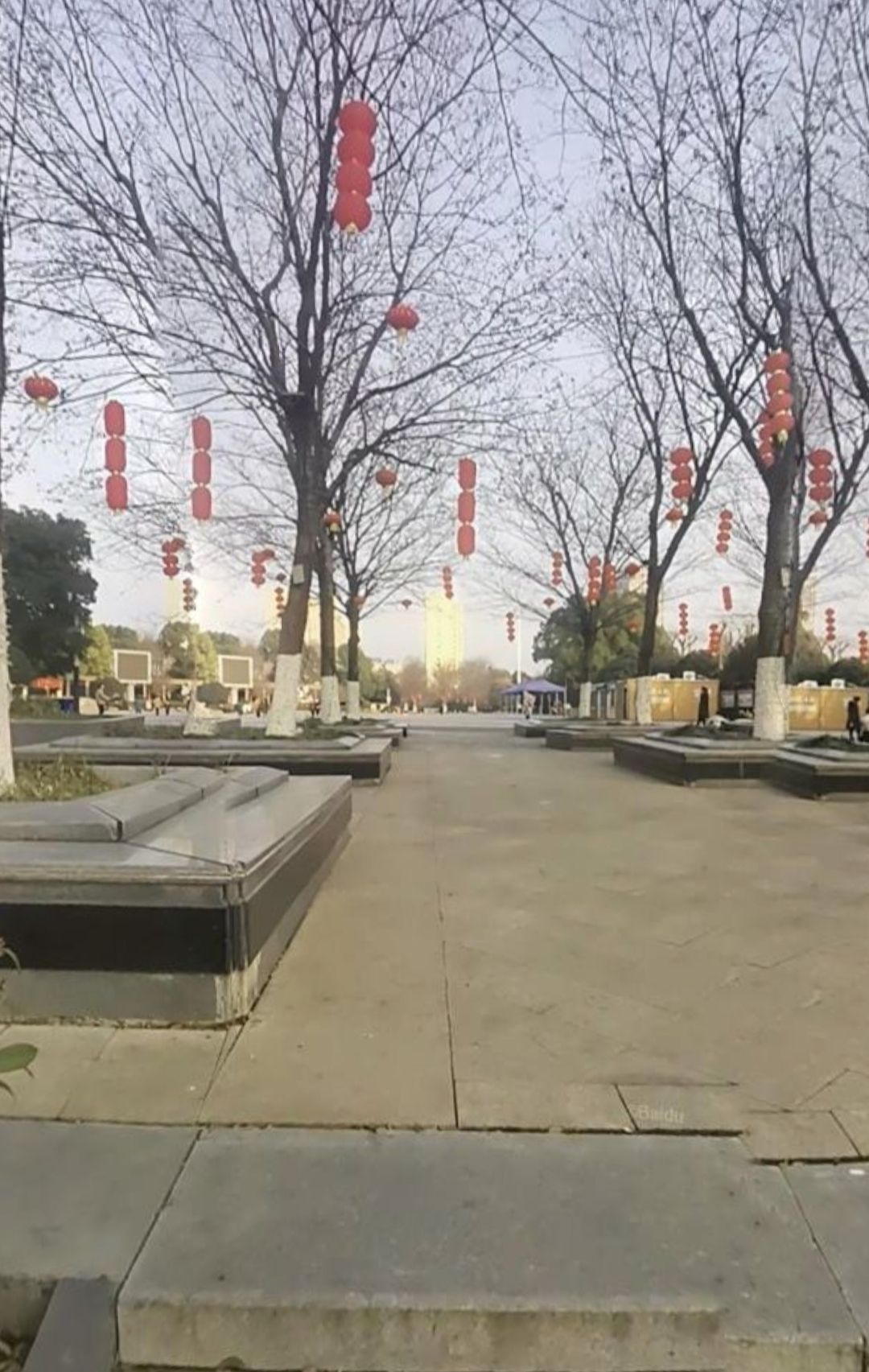 城北广场旅行图片