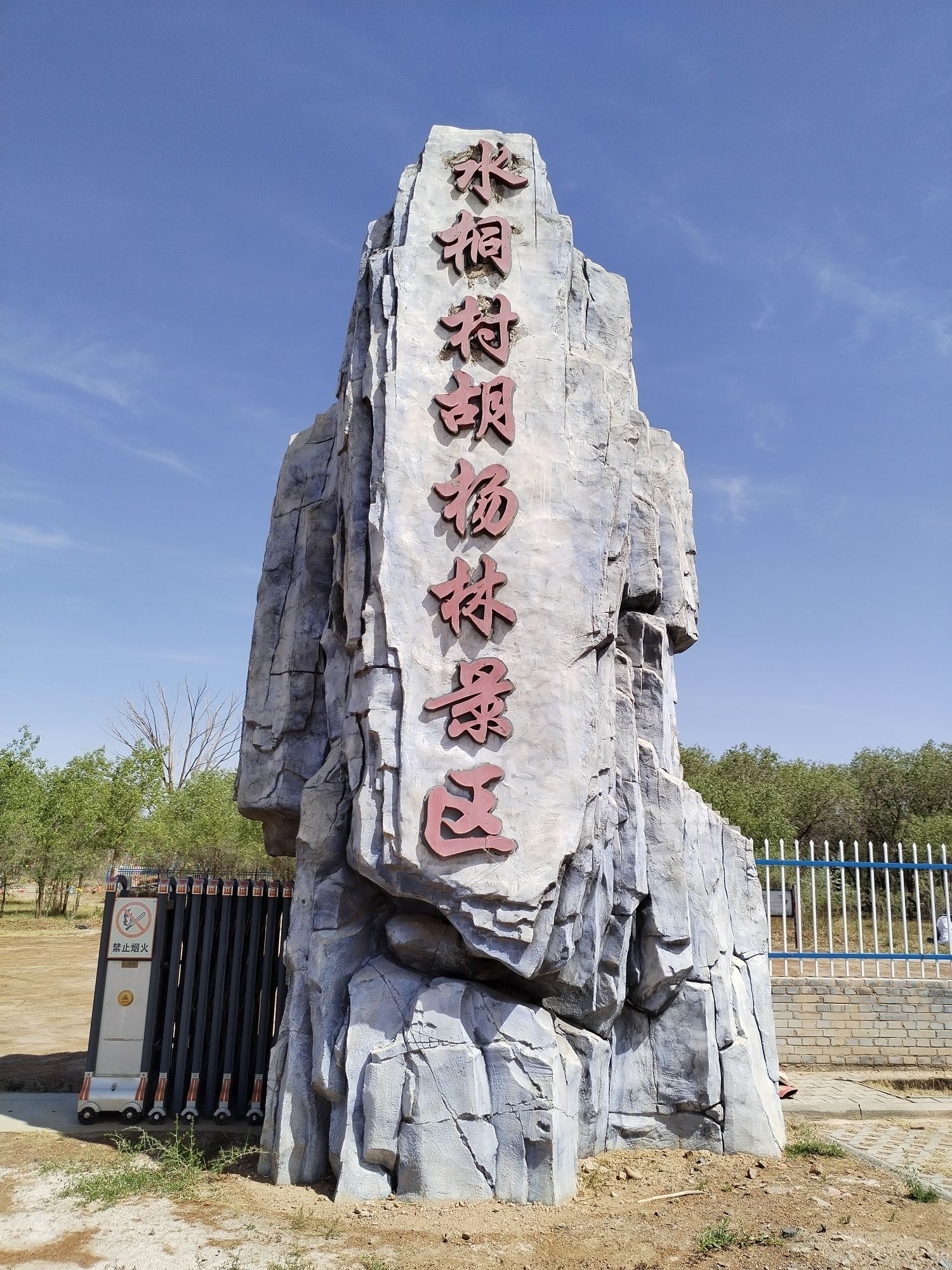 水桐村胡杨林景区旅行图片 1