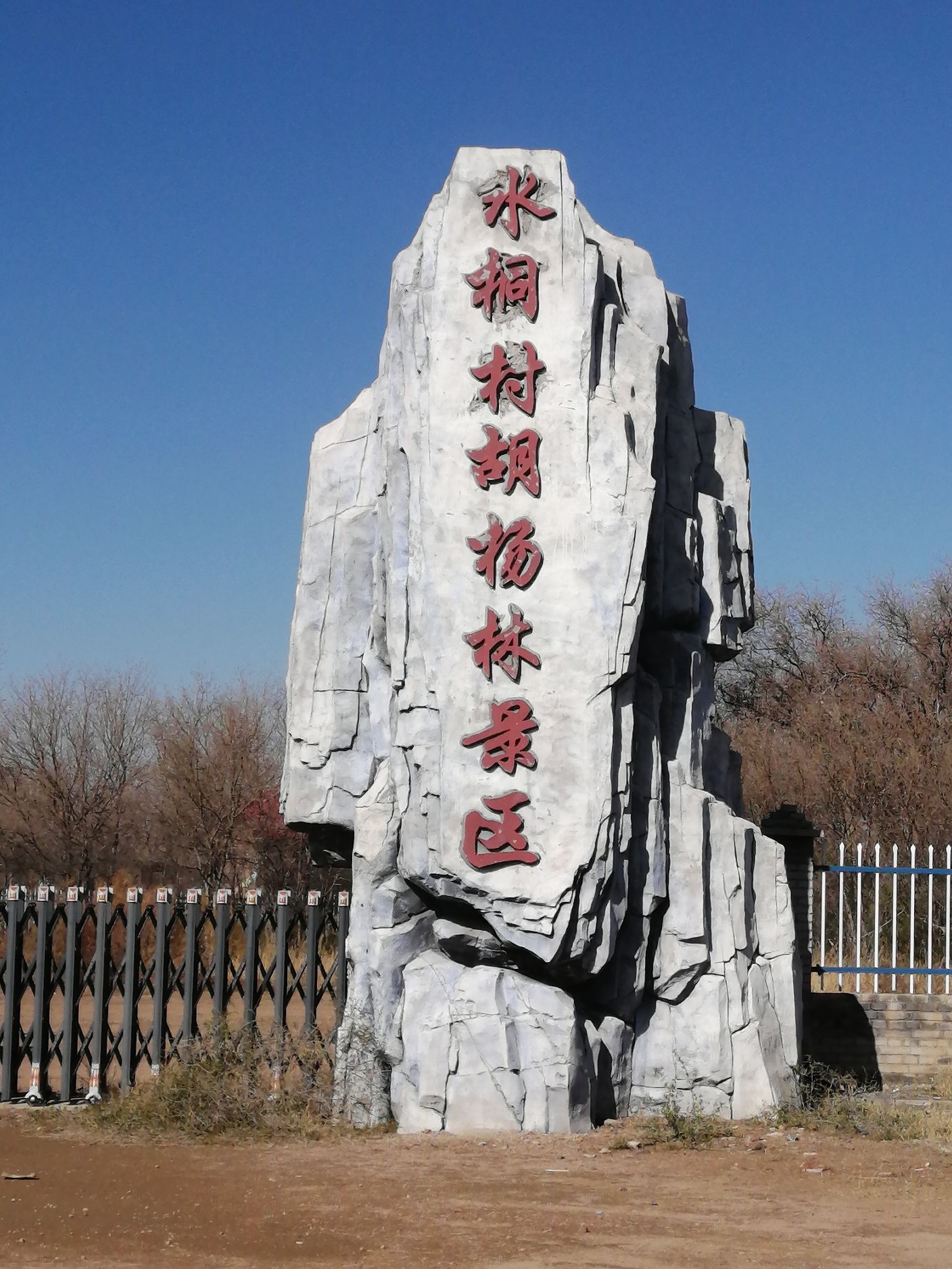 水桐村胡杨林景区旅行图片 1