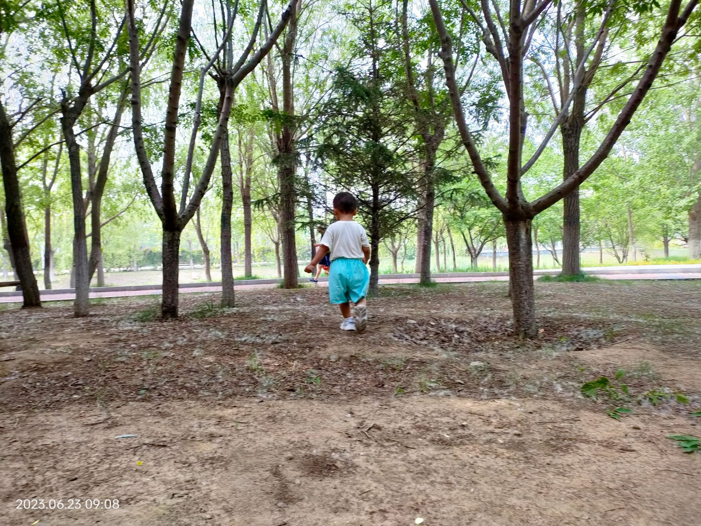 盘锦康桥公园旅行图片 3