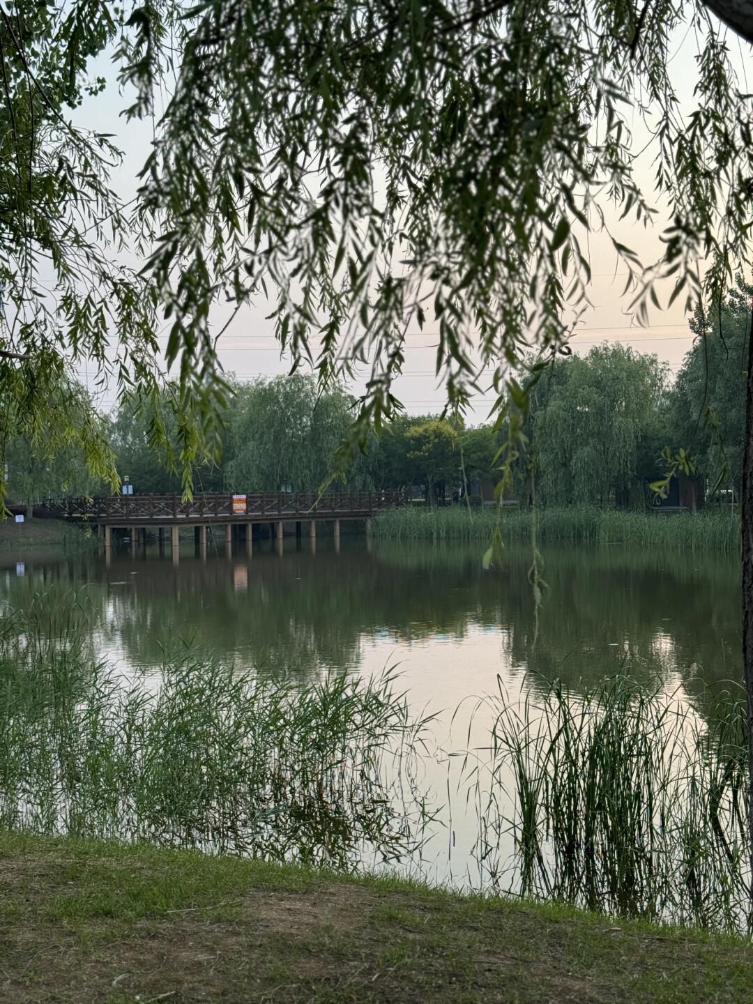 盘锦康桥公园旅行图片 2