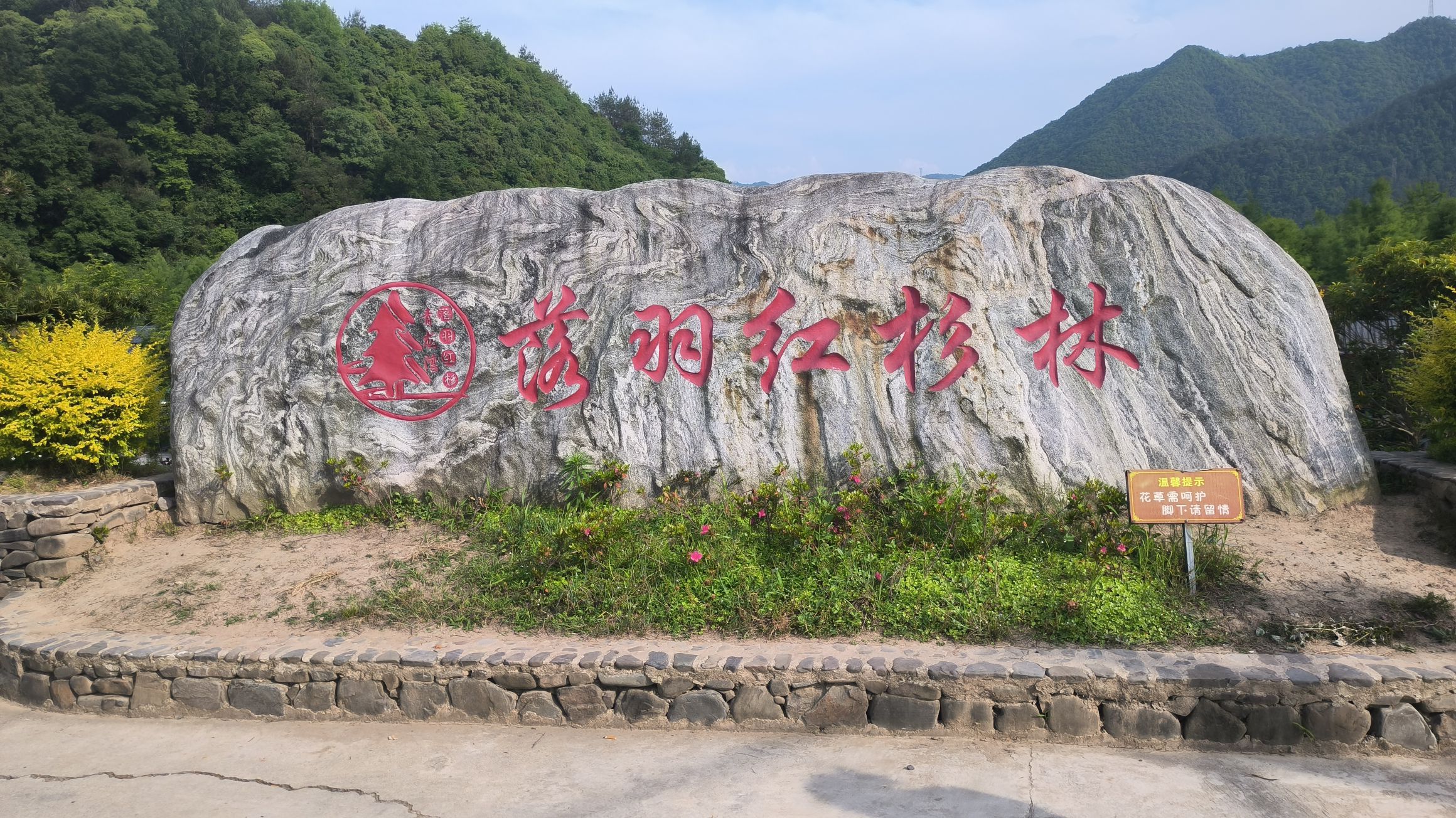 落羽红杉林景点