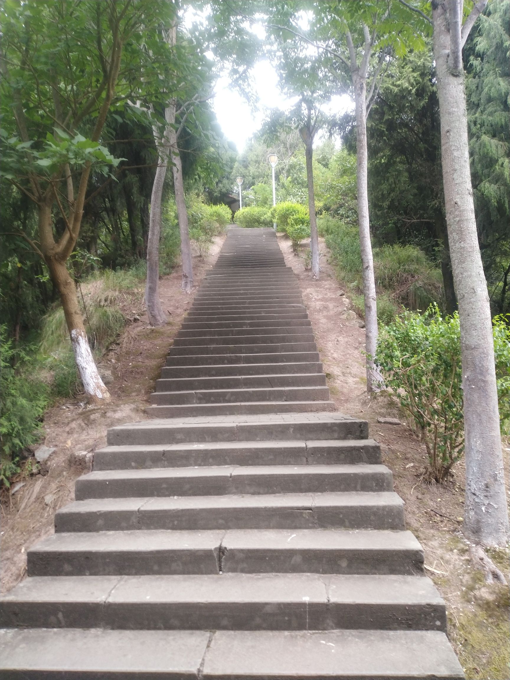 小东山公园旅行图片 2