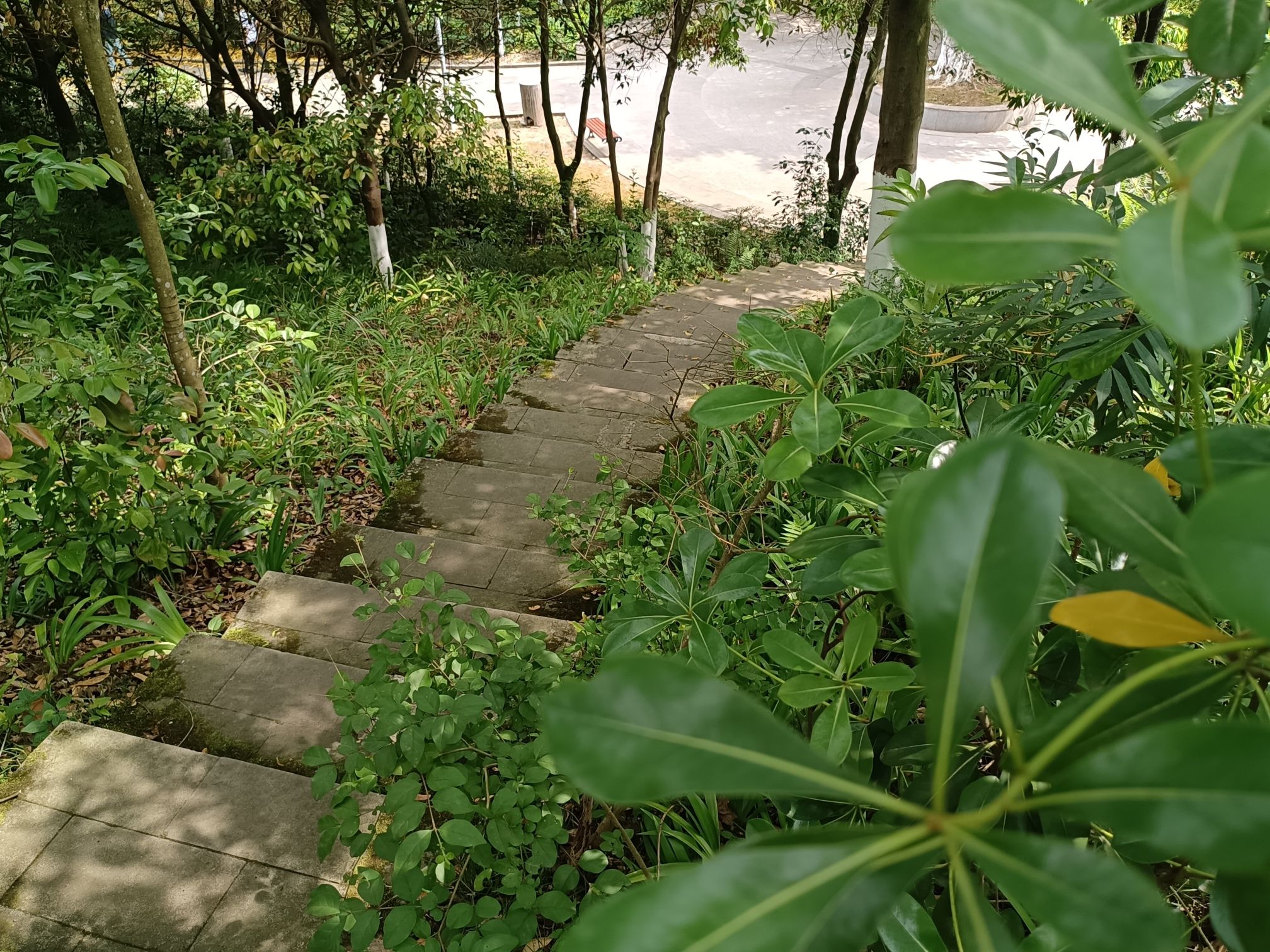 小东山公园旅行图片 2