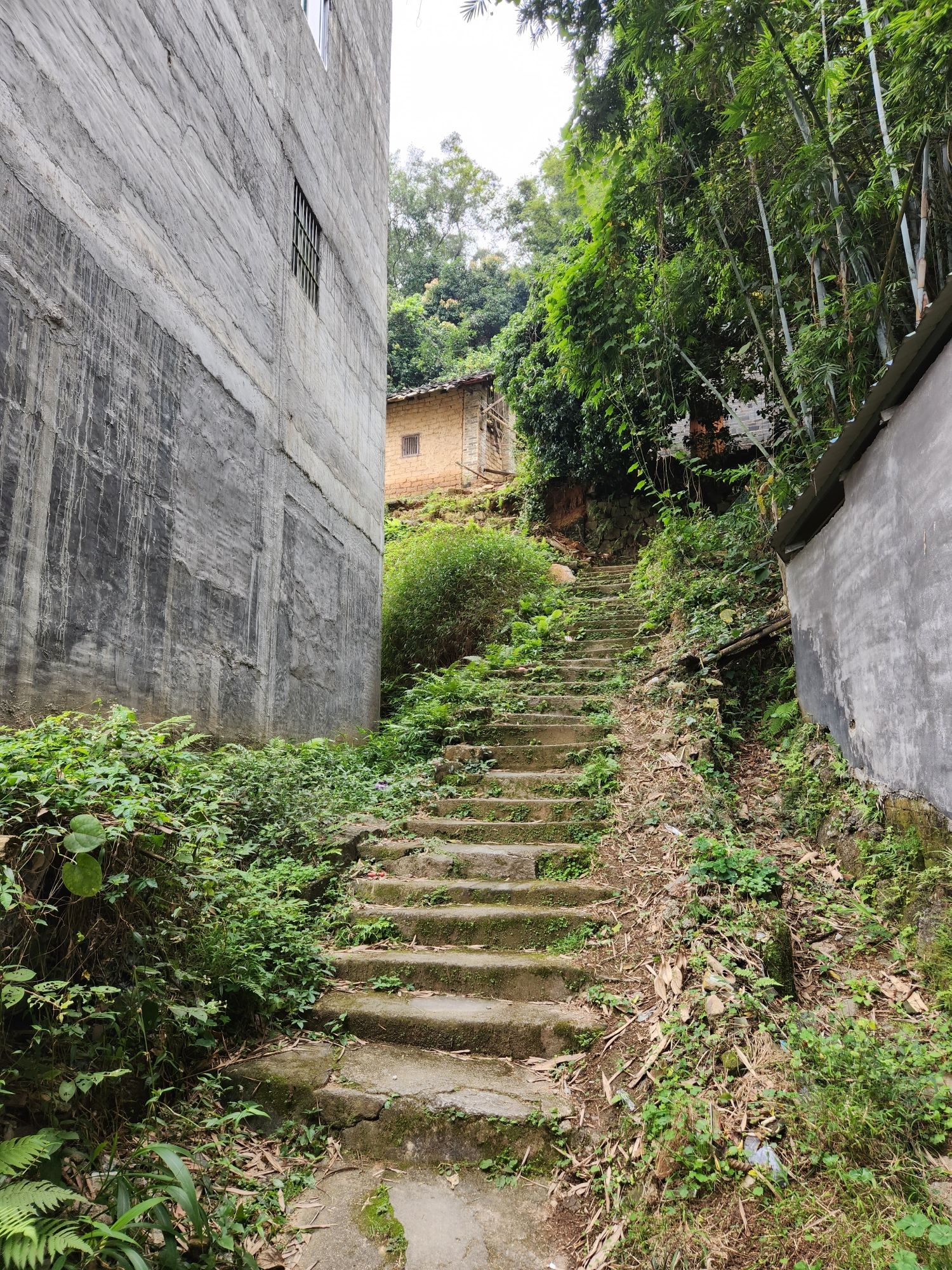 六陈古潭山公园旅行图片 2