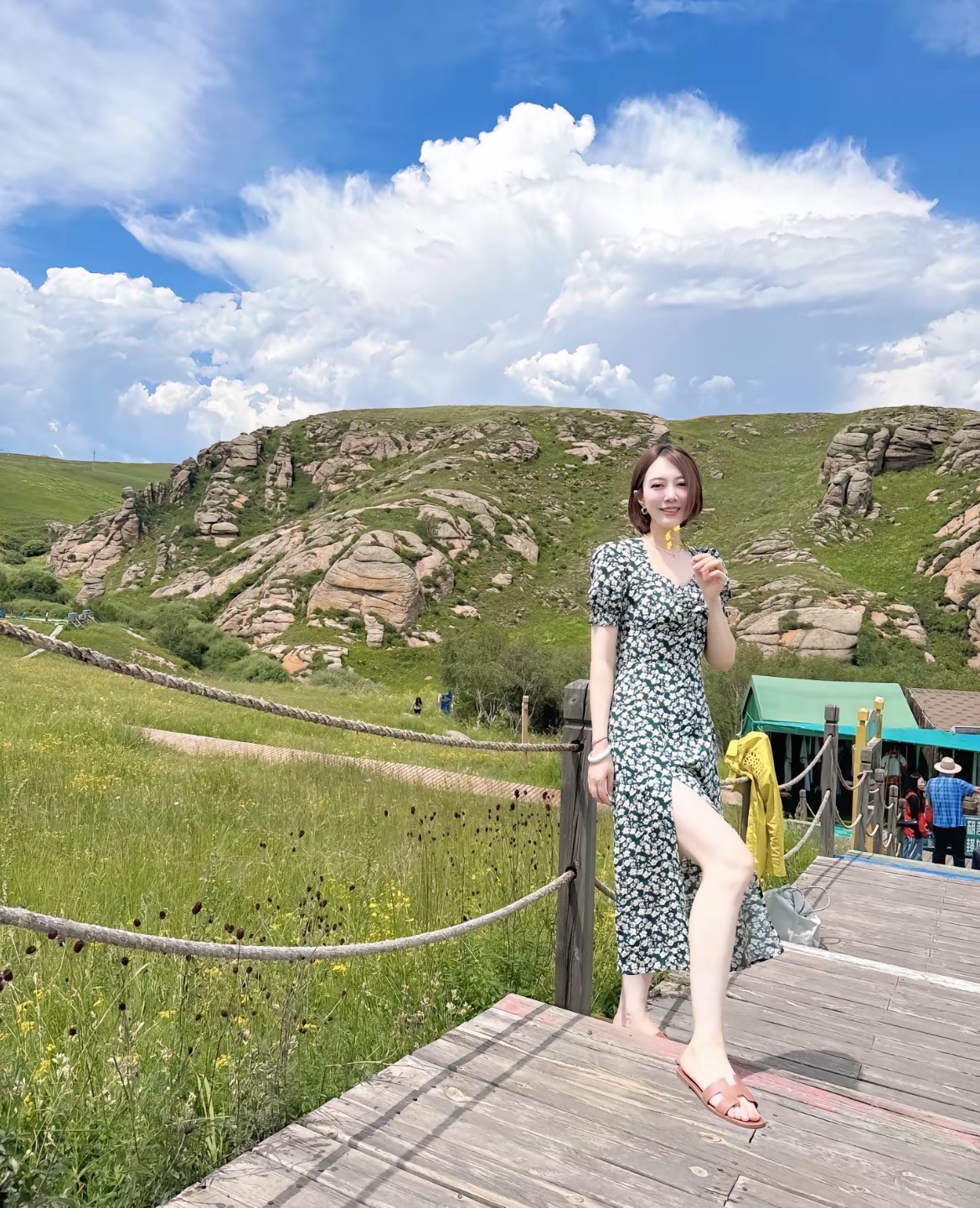 辉腾锡勒草原花海(暂停开放)旅行图片 1