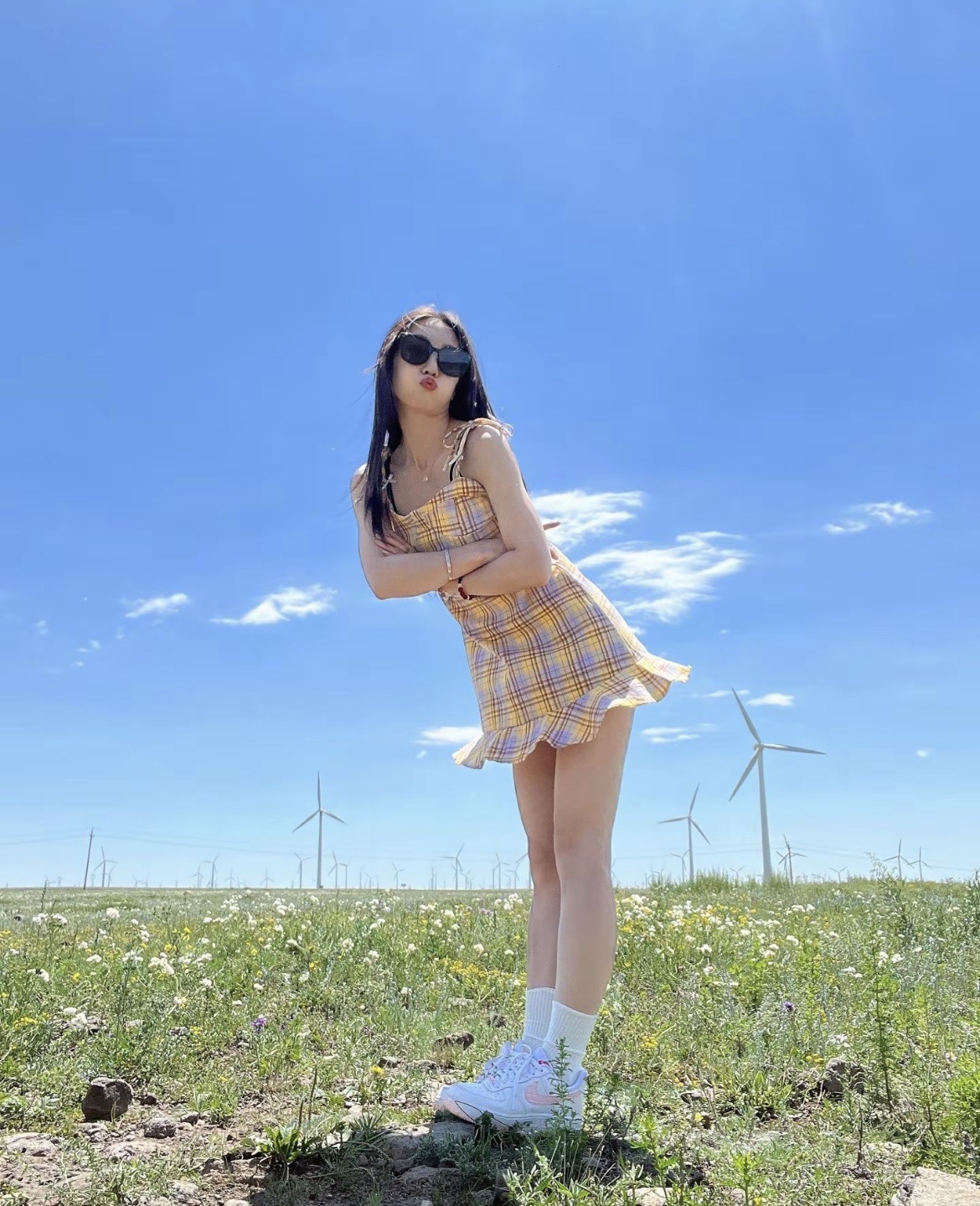 辉腾锡勒草原花海(暂停开放)旅行图片 2