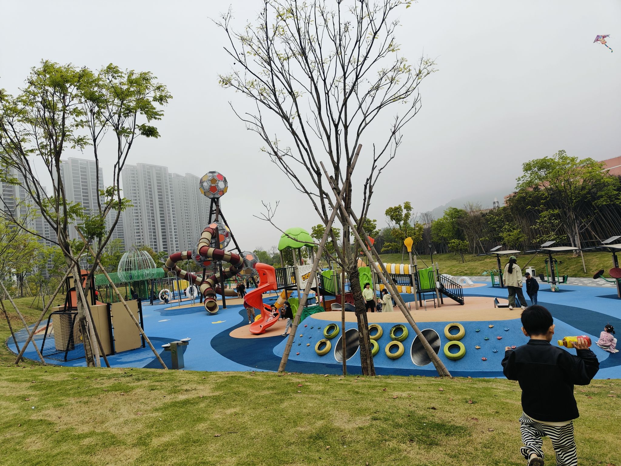 新湖·郁金香公园旅行图片 3