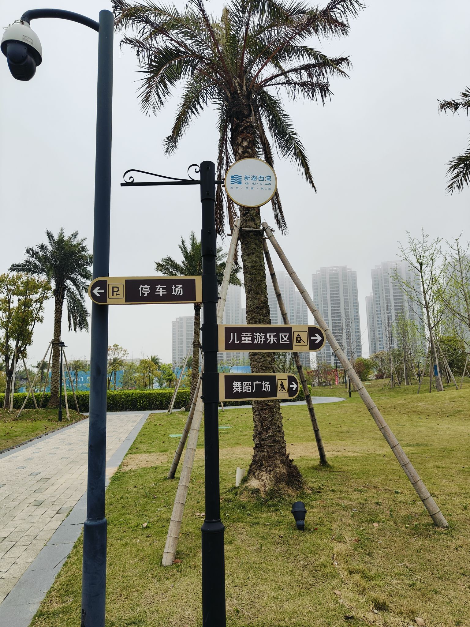 新湖·郁金香公园旅行图片 2