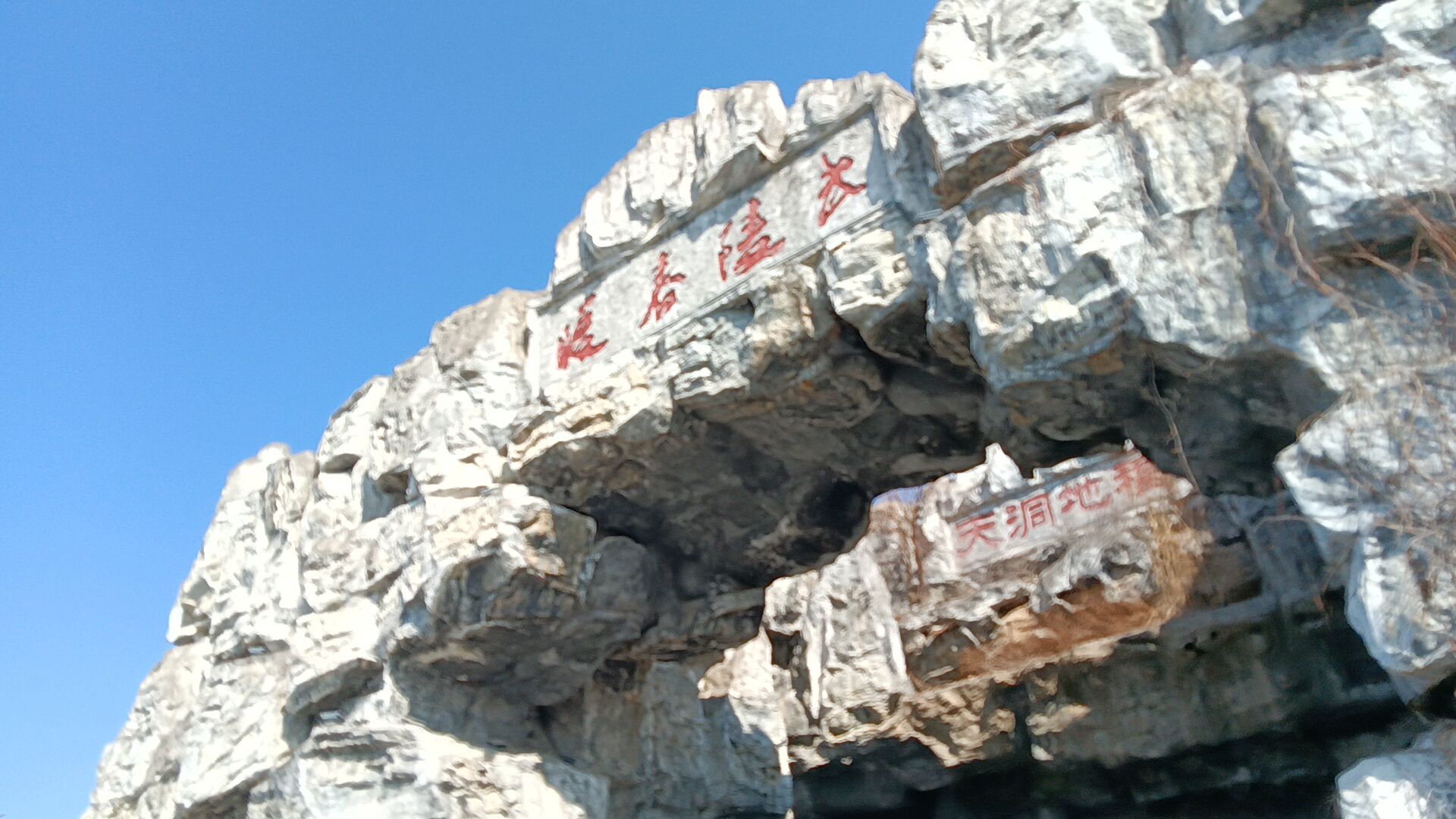 桃花岛公园旅行图片 1