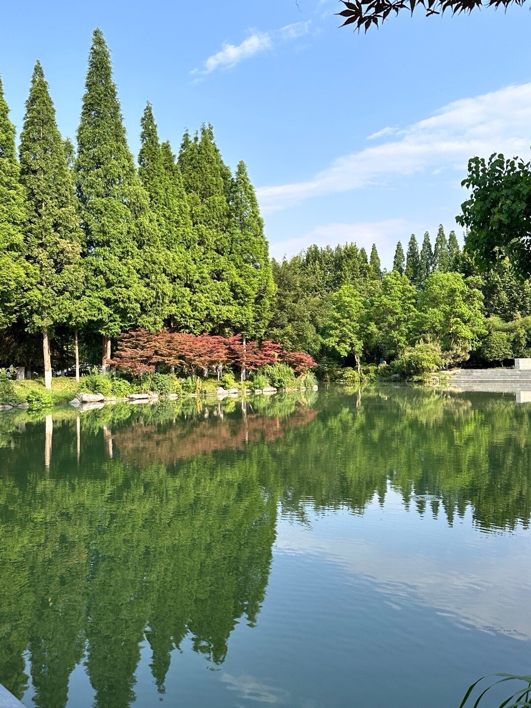 桃花岛公园