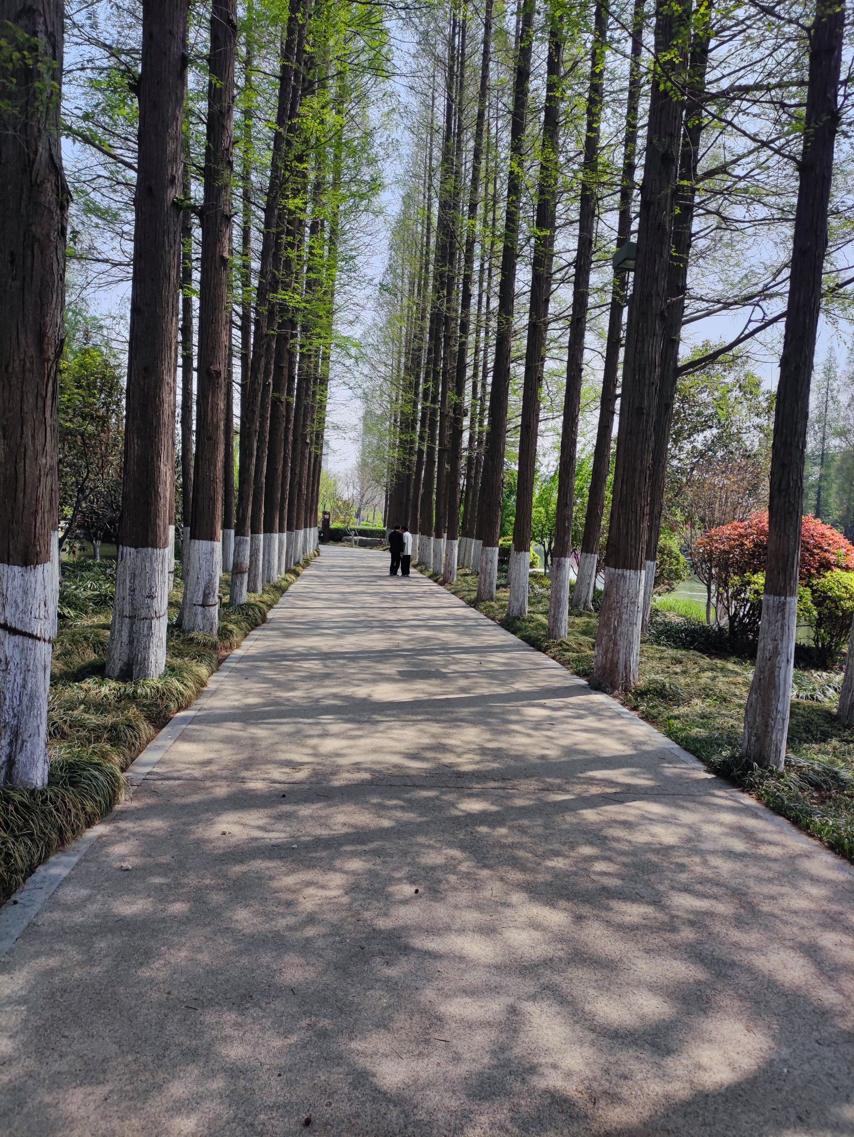 桃花岛公园旅行图片 2