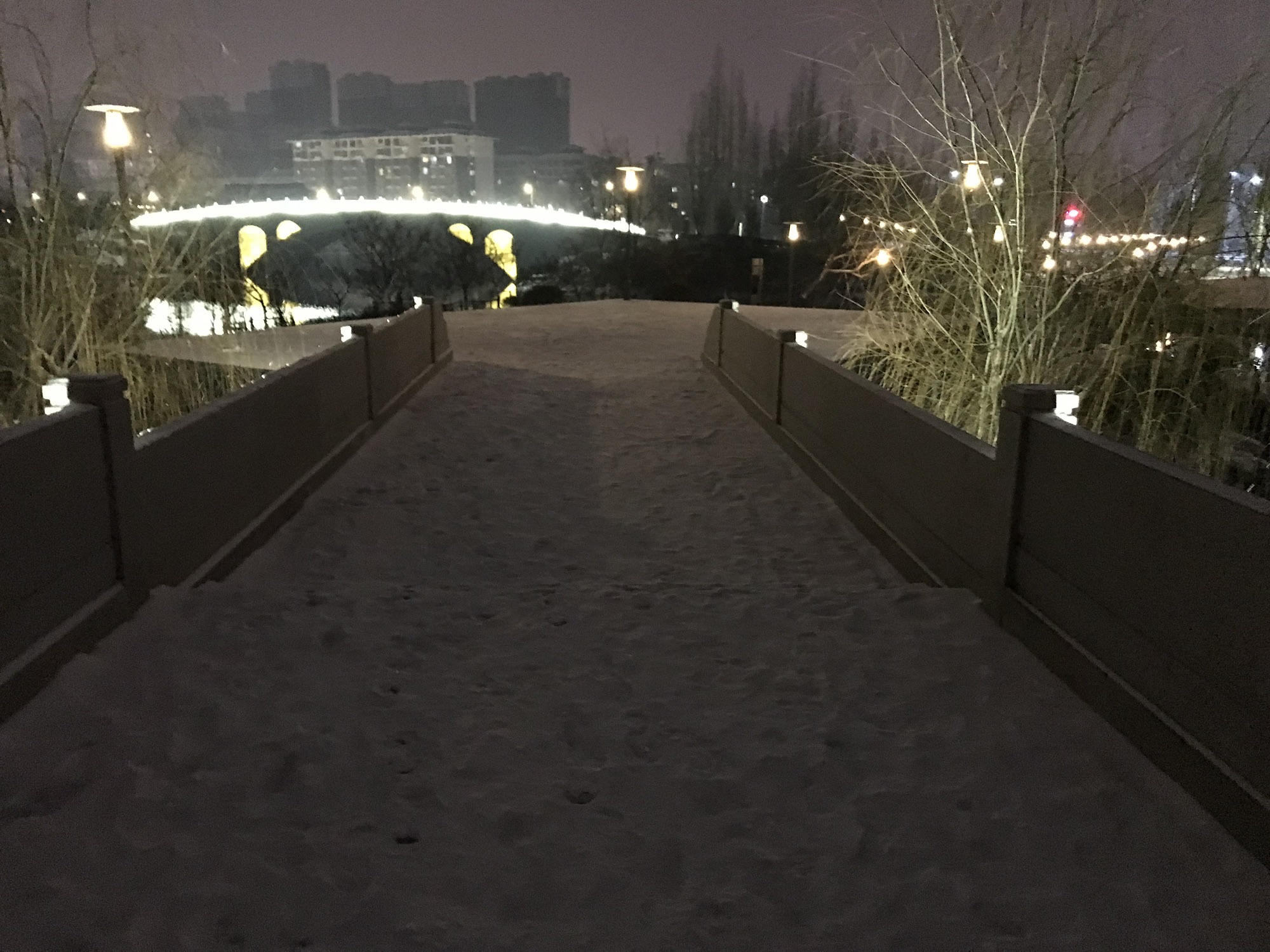 桃花岛公园旅行图片 3