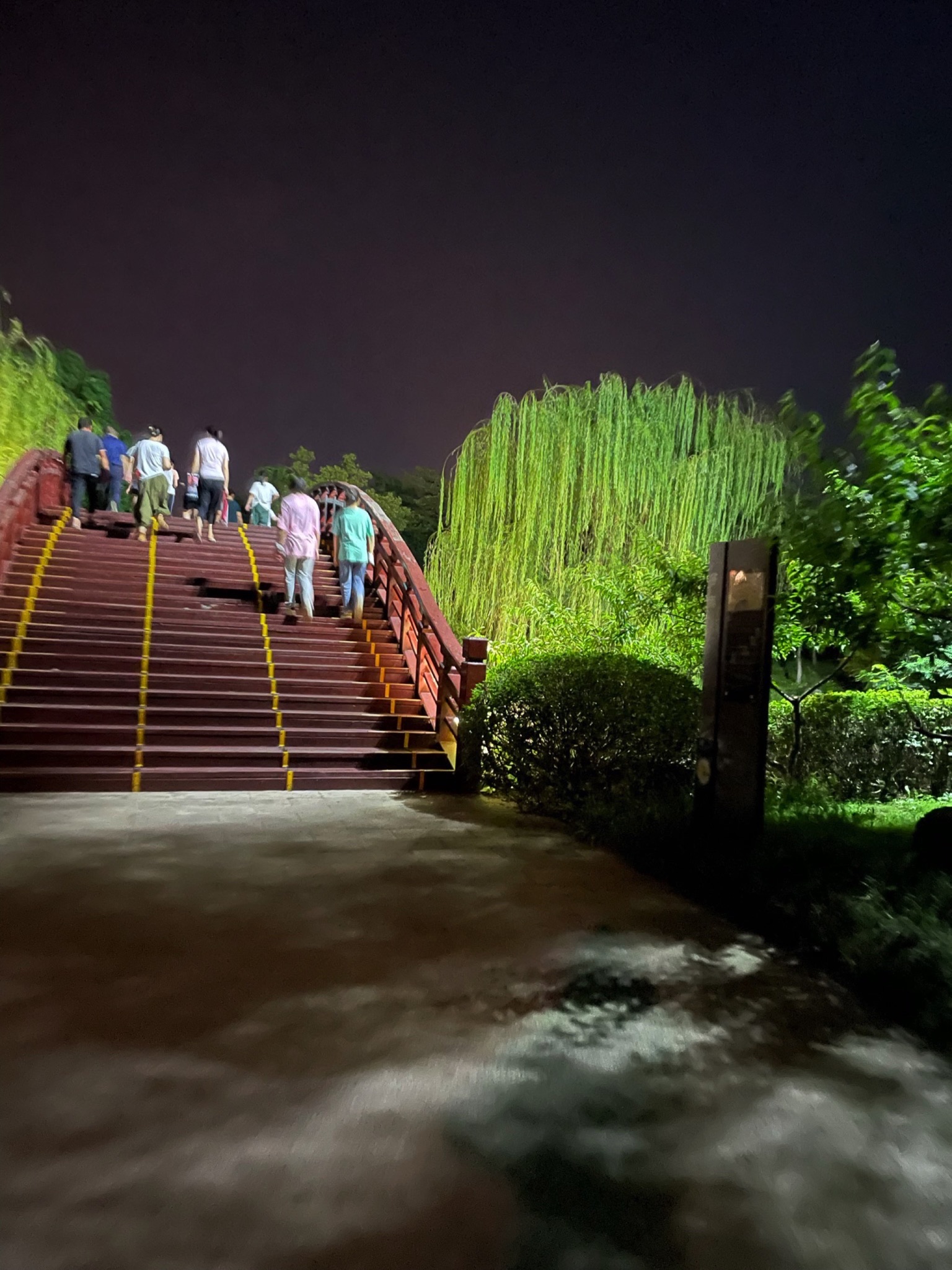 桃花岛公园旅行图片 1