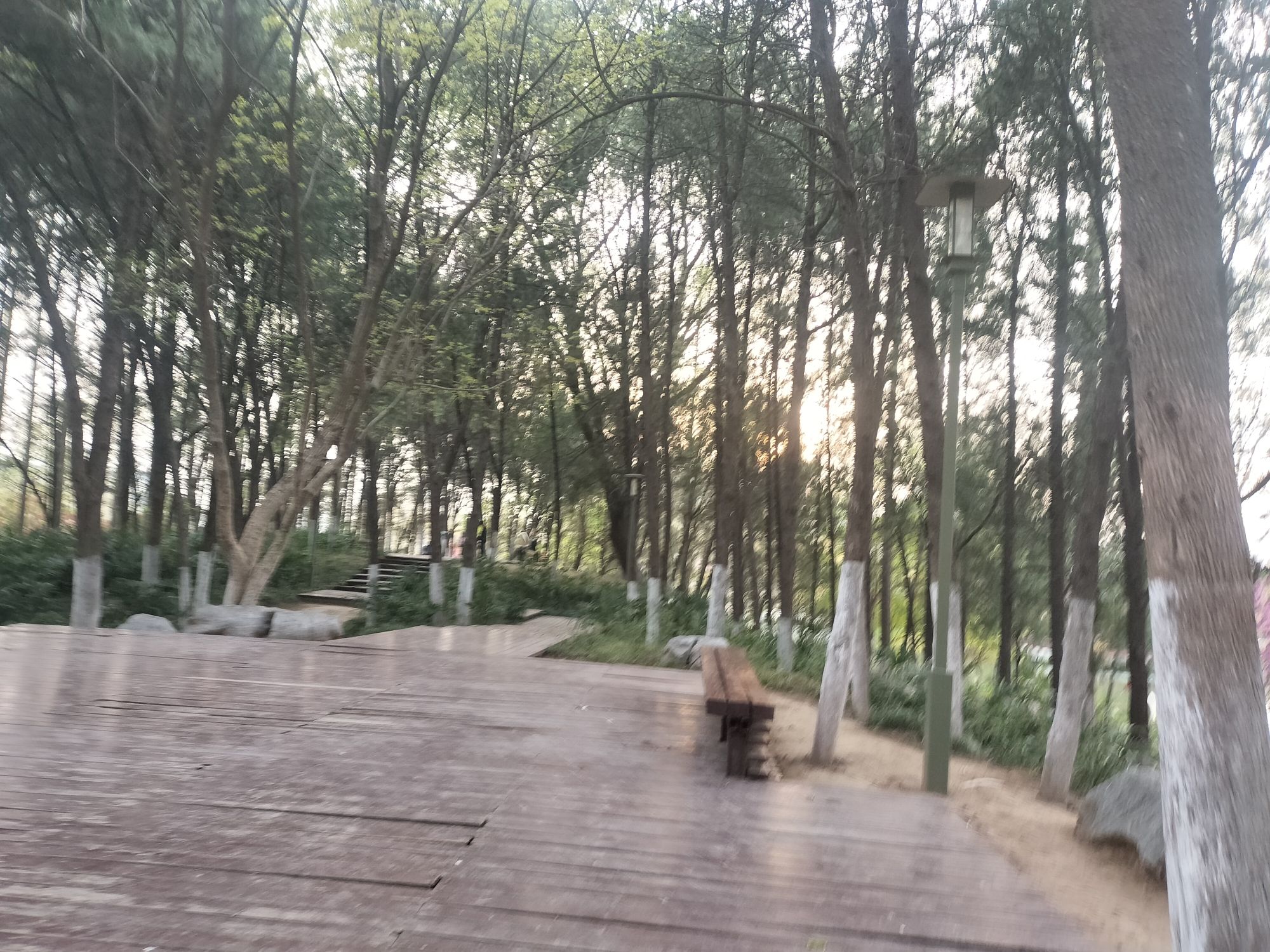 桃花岛公园旅行图片 2