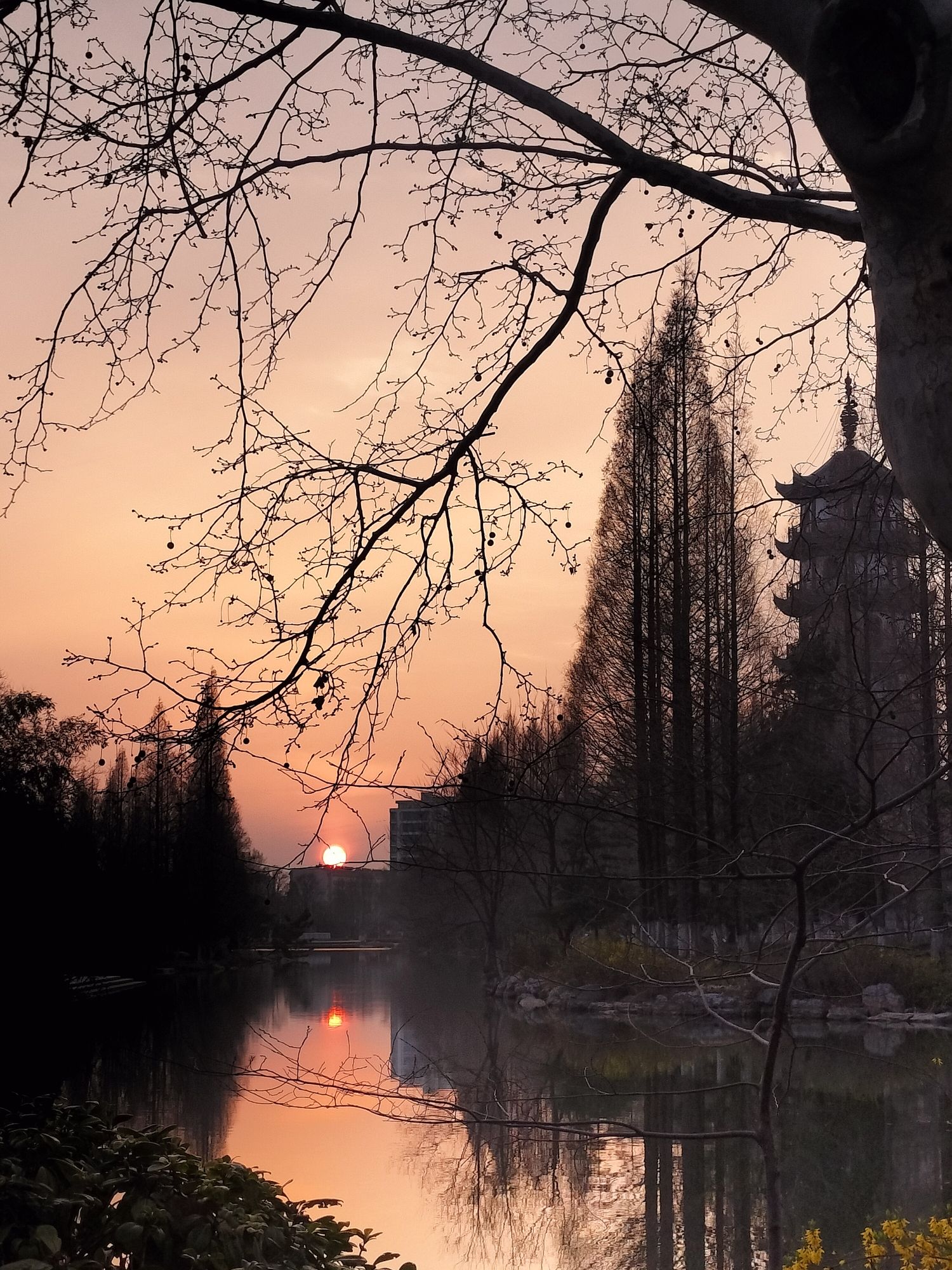桃花岛公园旅行图片 3