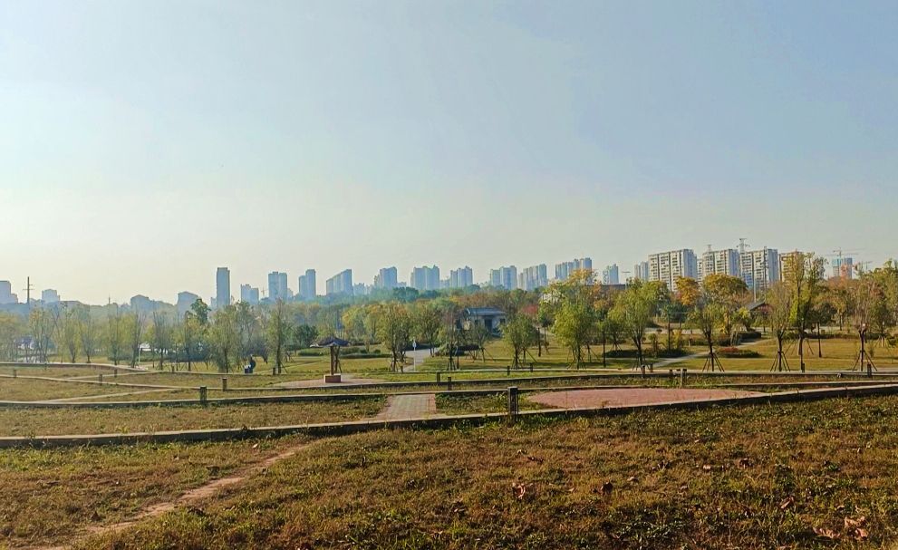 砂子岭公园