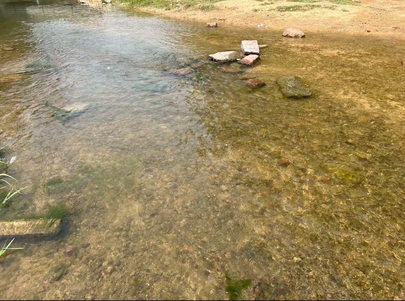 黄柏山世鹏网红桥旅行图片 3
