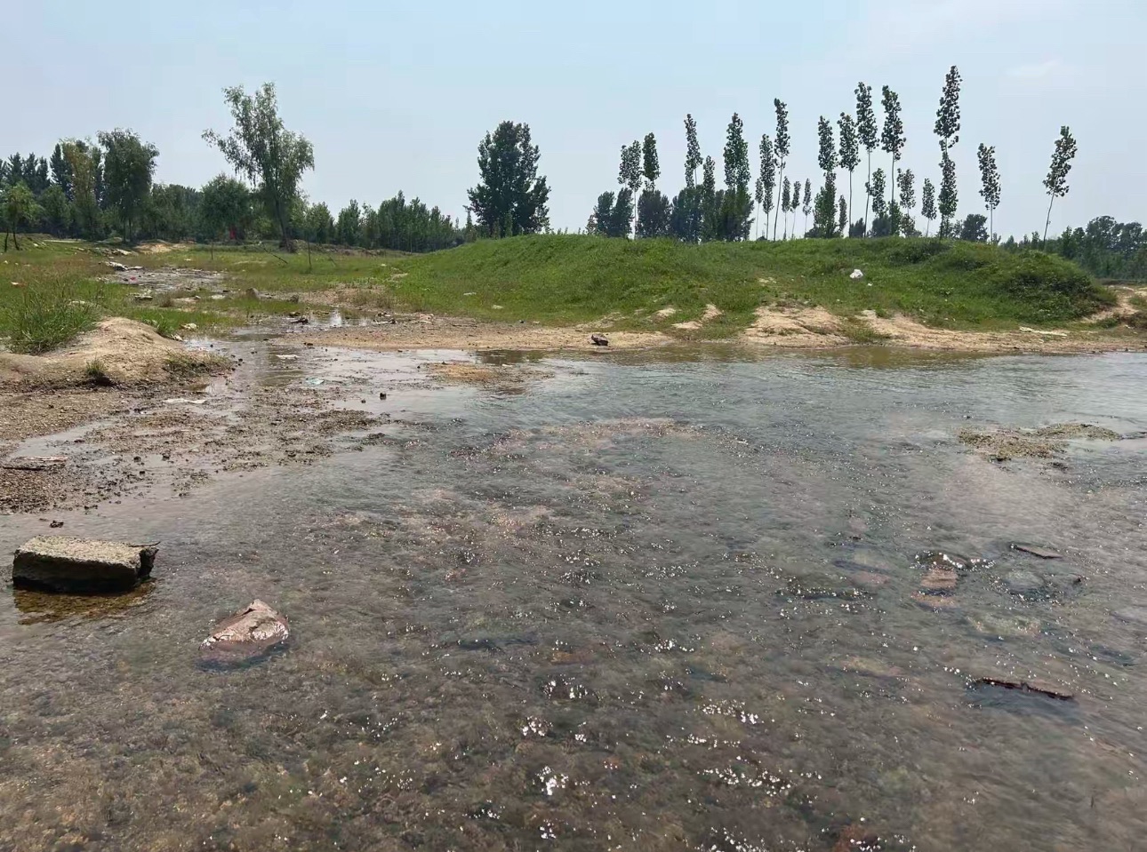 黄柏山世鹏网红桥旅行图片 2