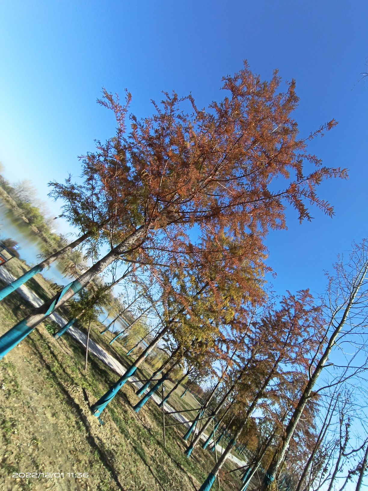 涡阳县晚清古民居旅行图片 3