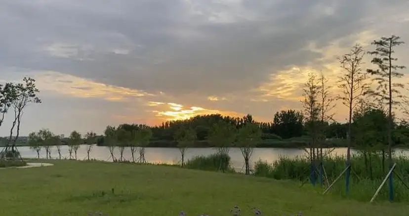 涡阳县晚清古民居旅行图片 1