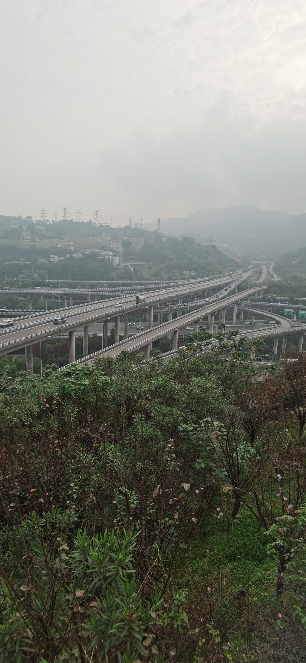 黄桷湾公园旅行图片 2