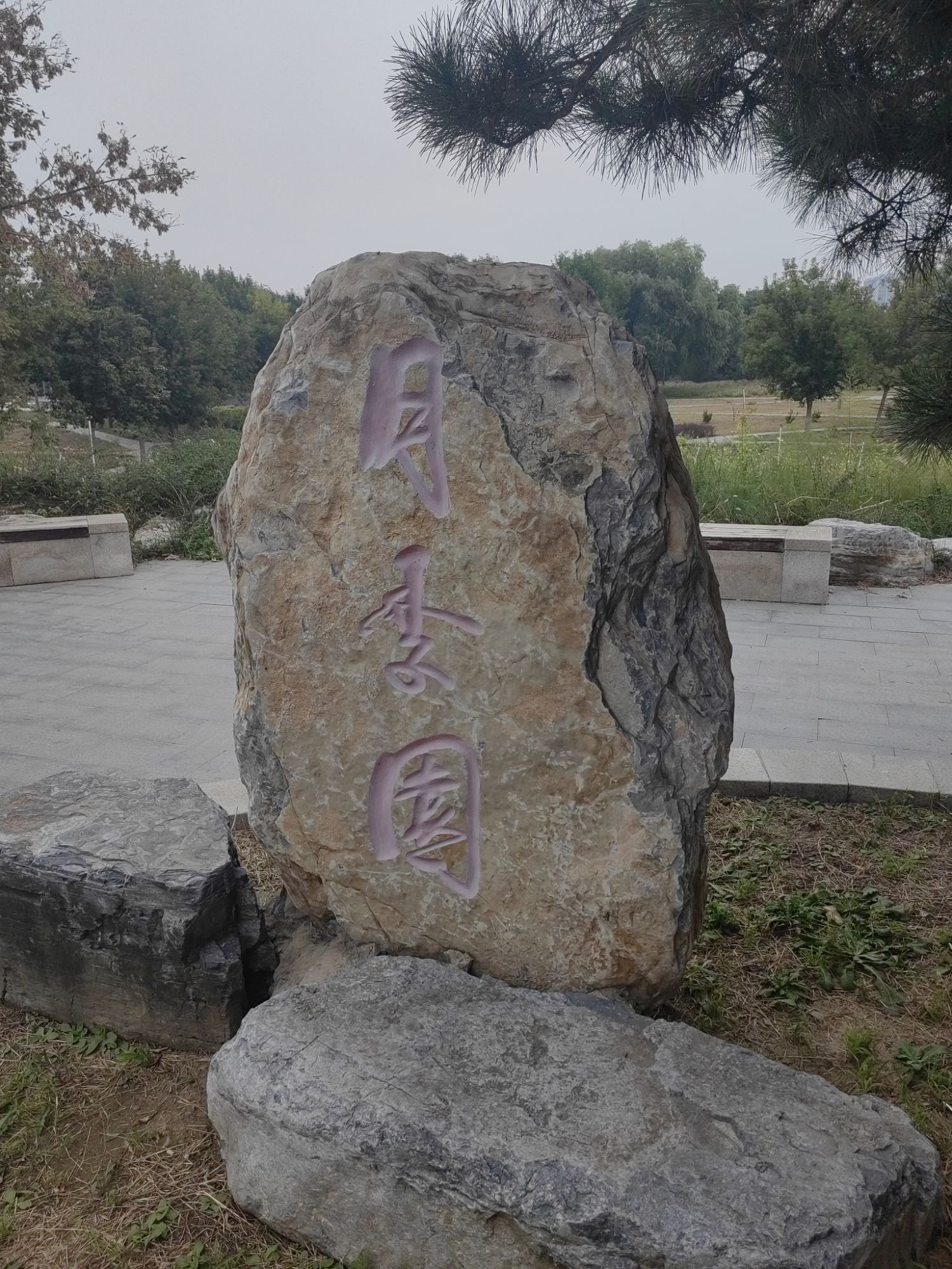 东小口城市休闲公园-月季园 - 东小口镇便民圈栖邻生活圈风景名胜服务点实景照片