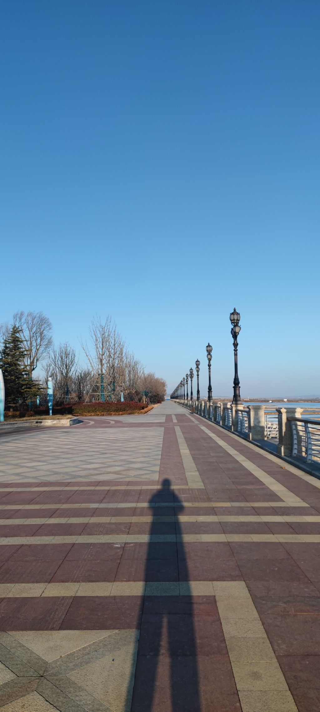 滨海公园旅行图片 2