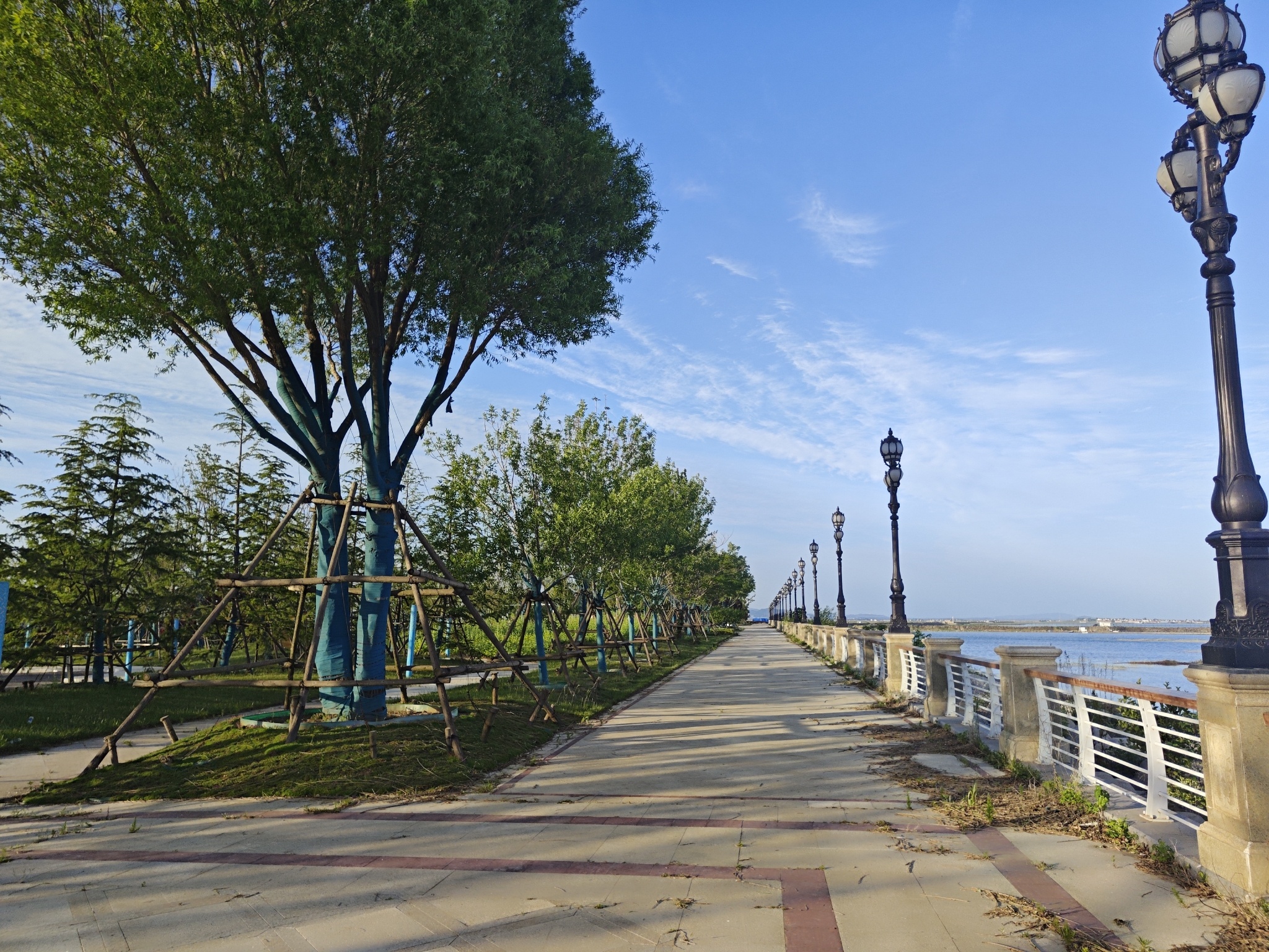 滨海公园旅行图片 2