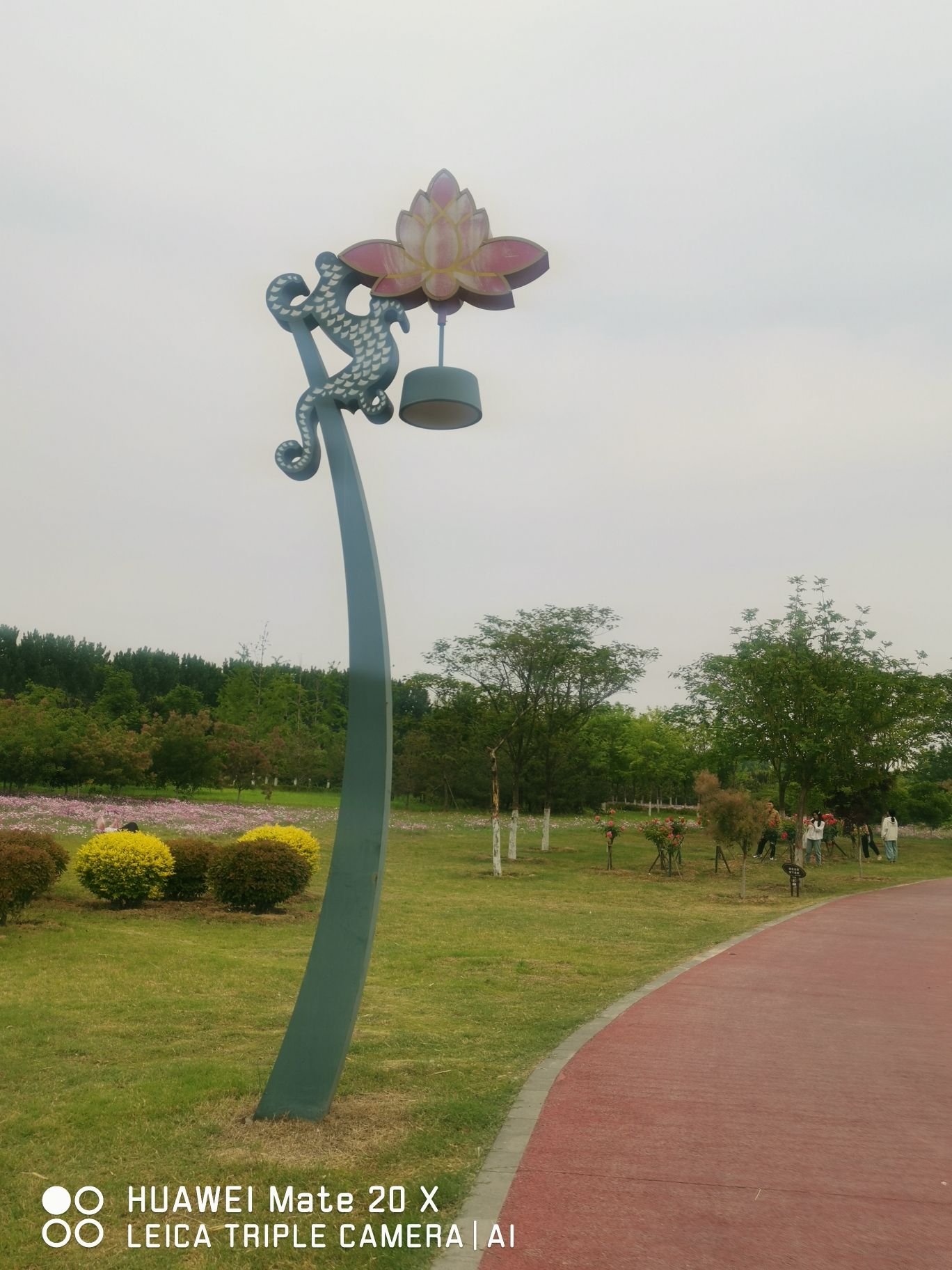 国家湿地公园白沙滩旅行图片 2