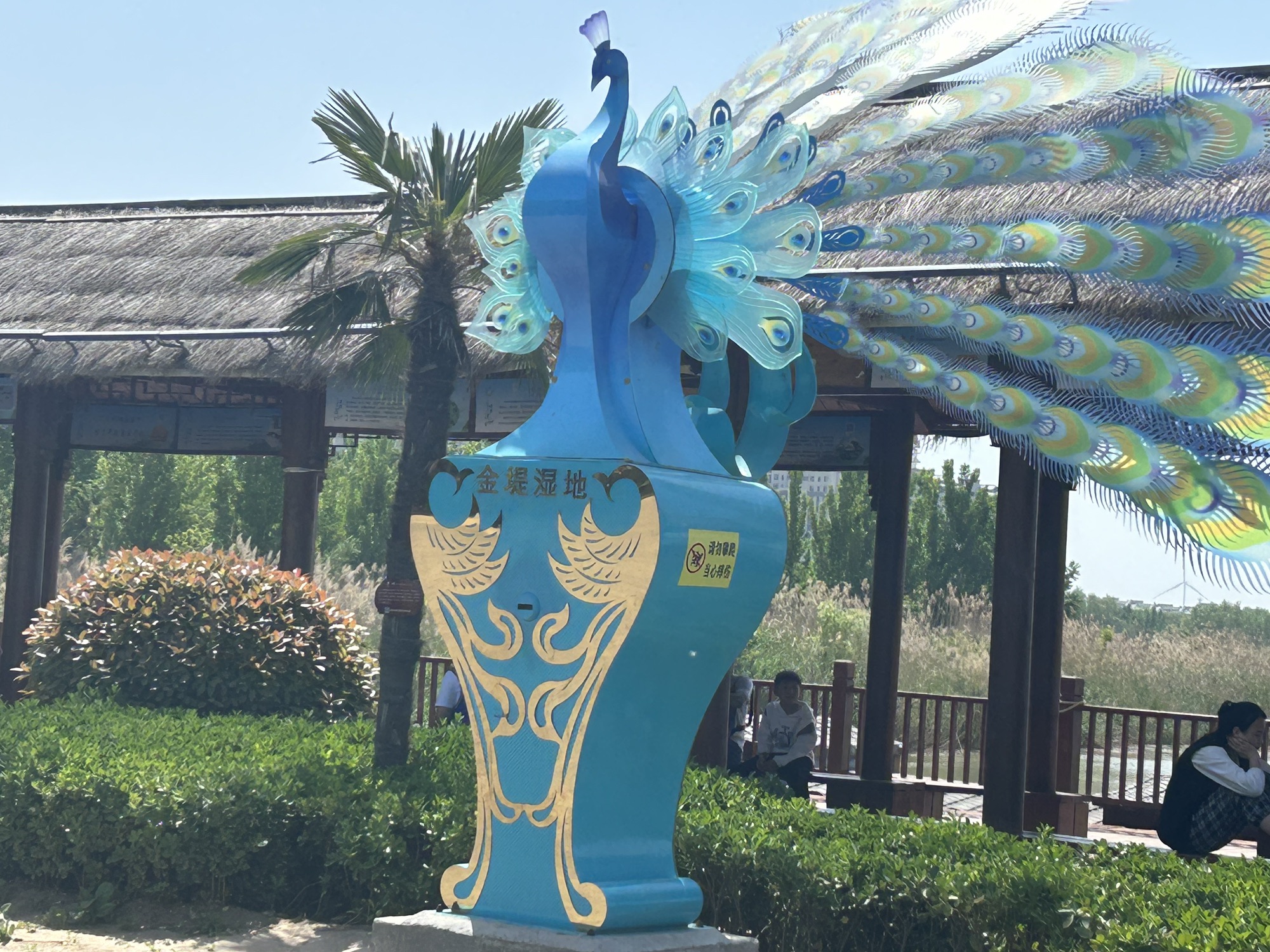 国家湿地公园白沙滩旅行图片 2