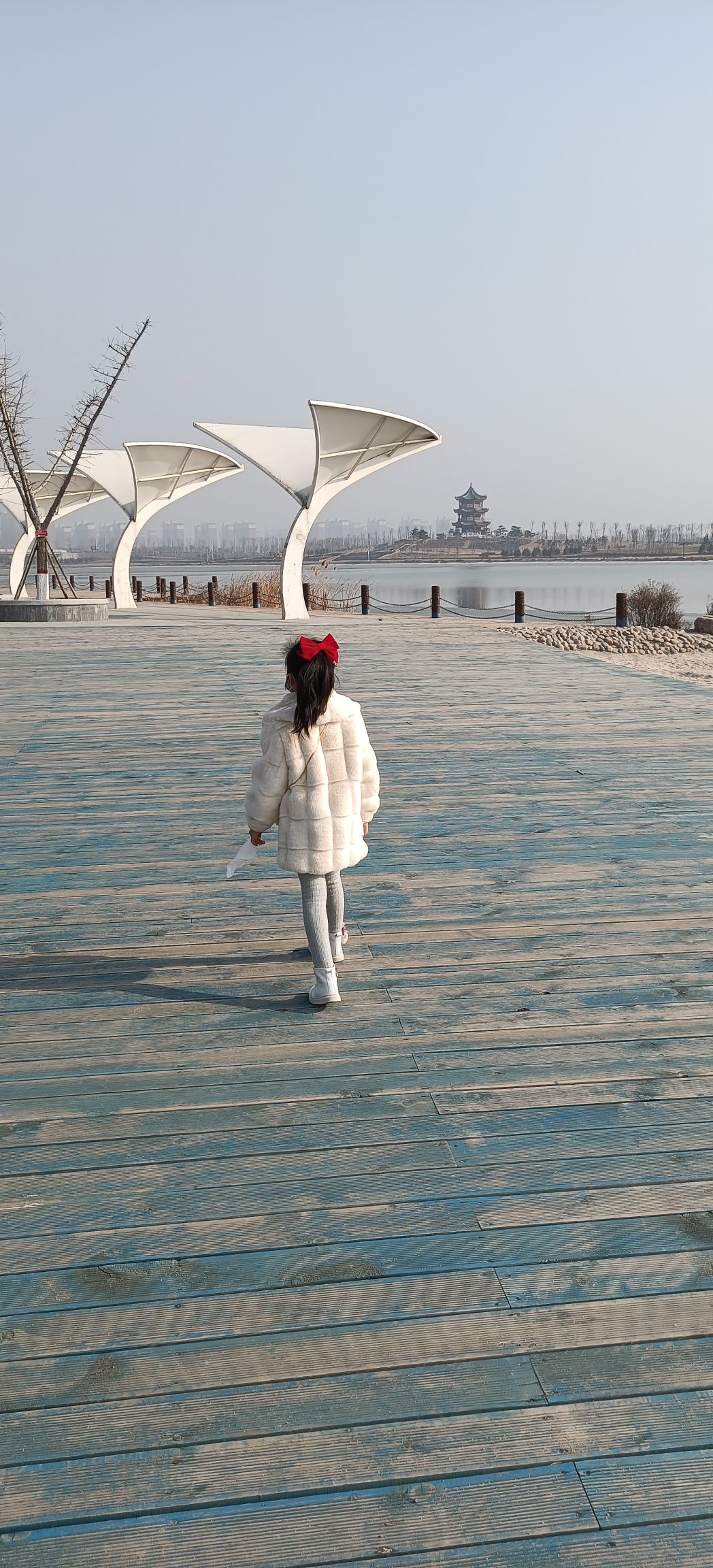 国家湿地公园白沙滩旅行图片 3