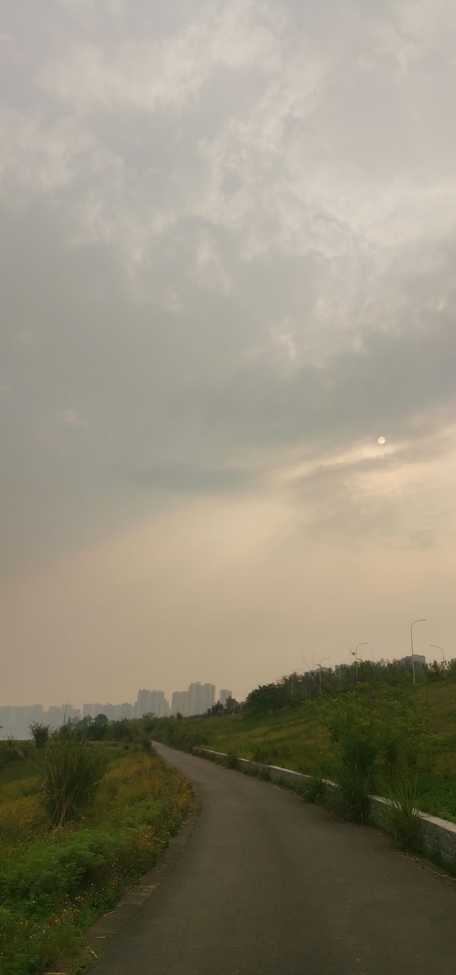 花滩市政南公园旅行图片 1