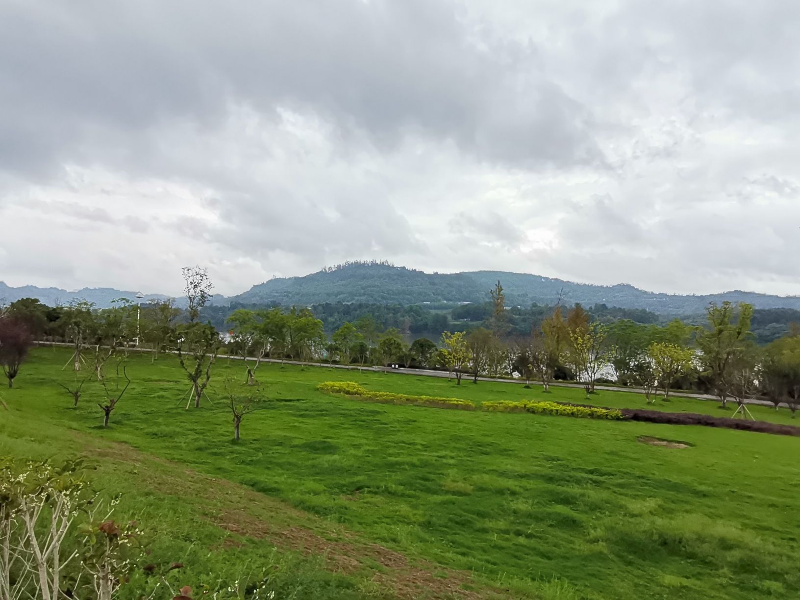 花滩市政南公园旅行图片 2