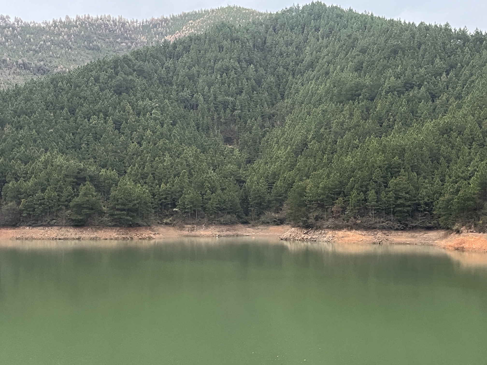 岗之头观音阁旅行图片 1