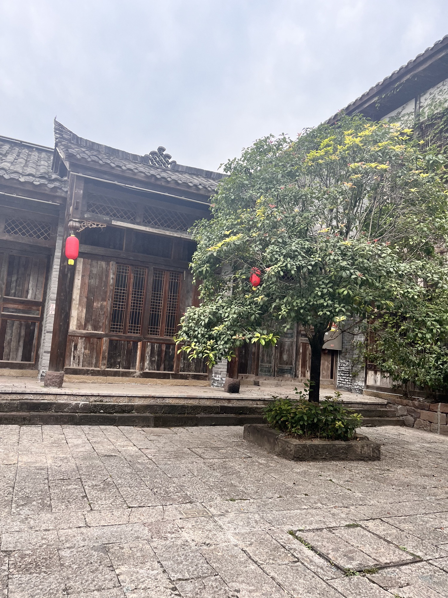 义渡古镇旅行图片 3